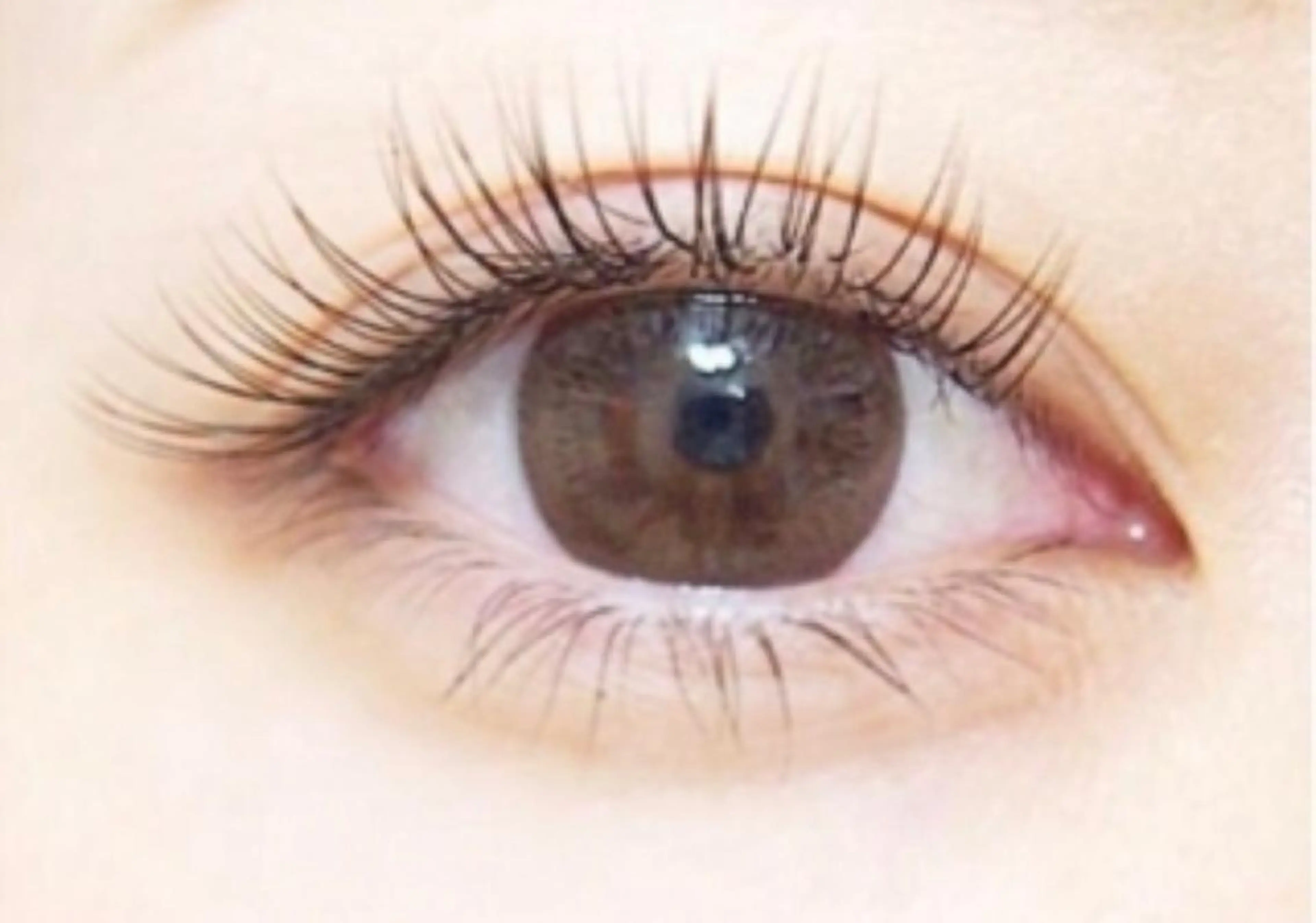 【次世代まつ毛パーマ】パリジェンヌ・ラッシュリフト／美容液・トリートメント仕上げの写真