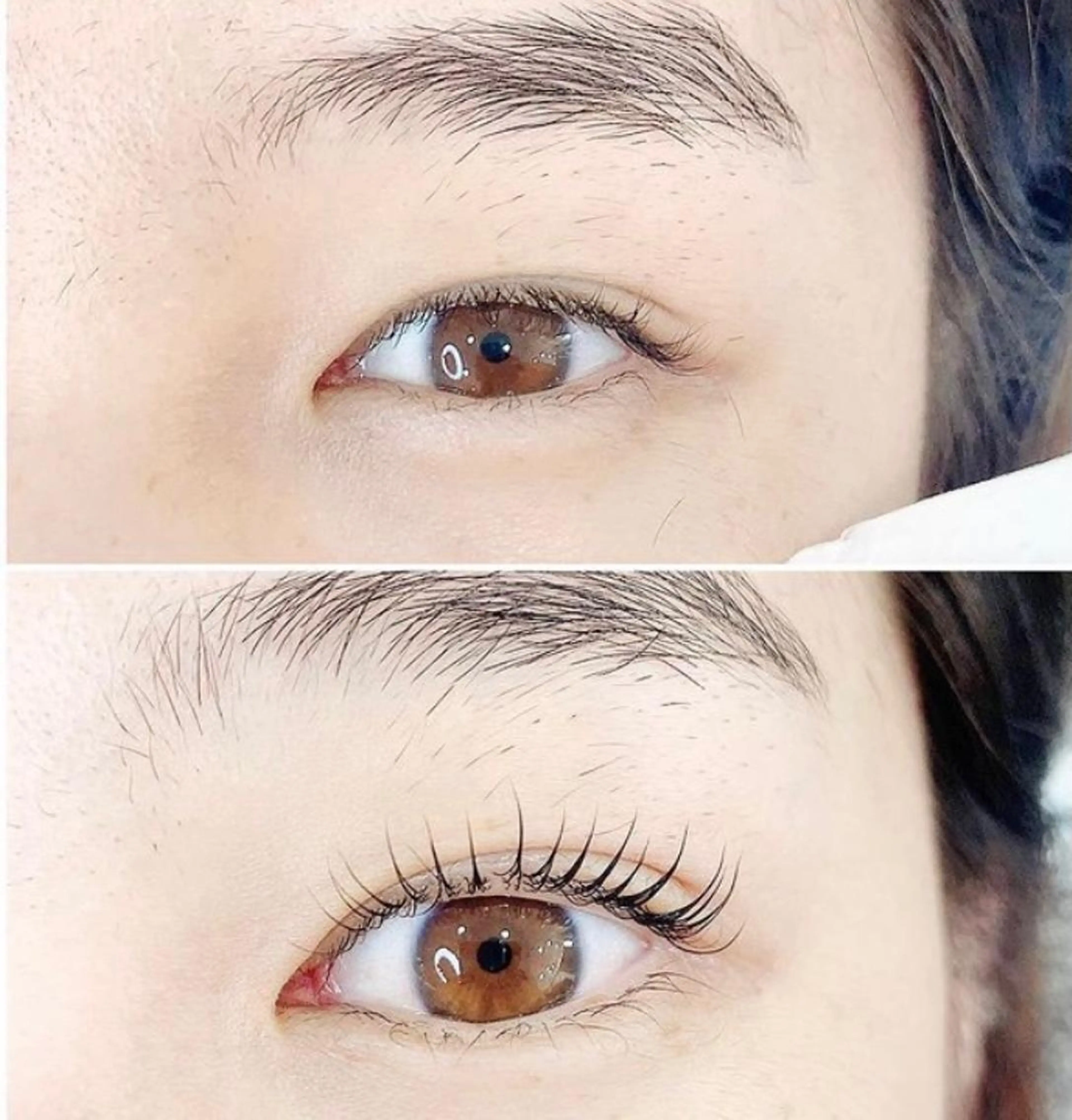 スペシャルコース✨🎵ラッシュリフト＋まつ毛ティント【まつ毛カラー】＋アイシャンプー＋コーティングの写真