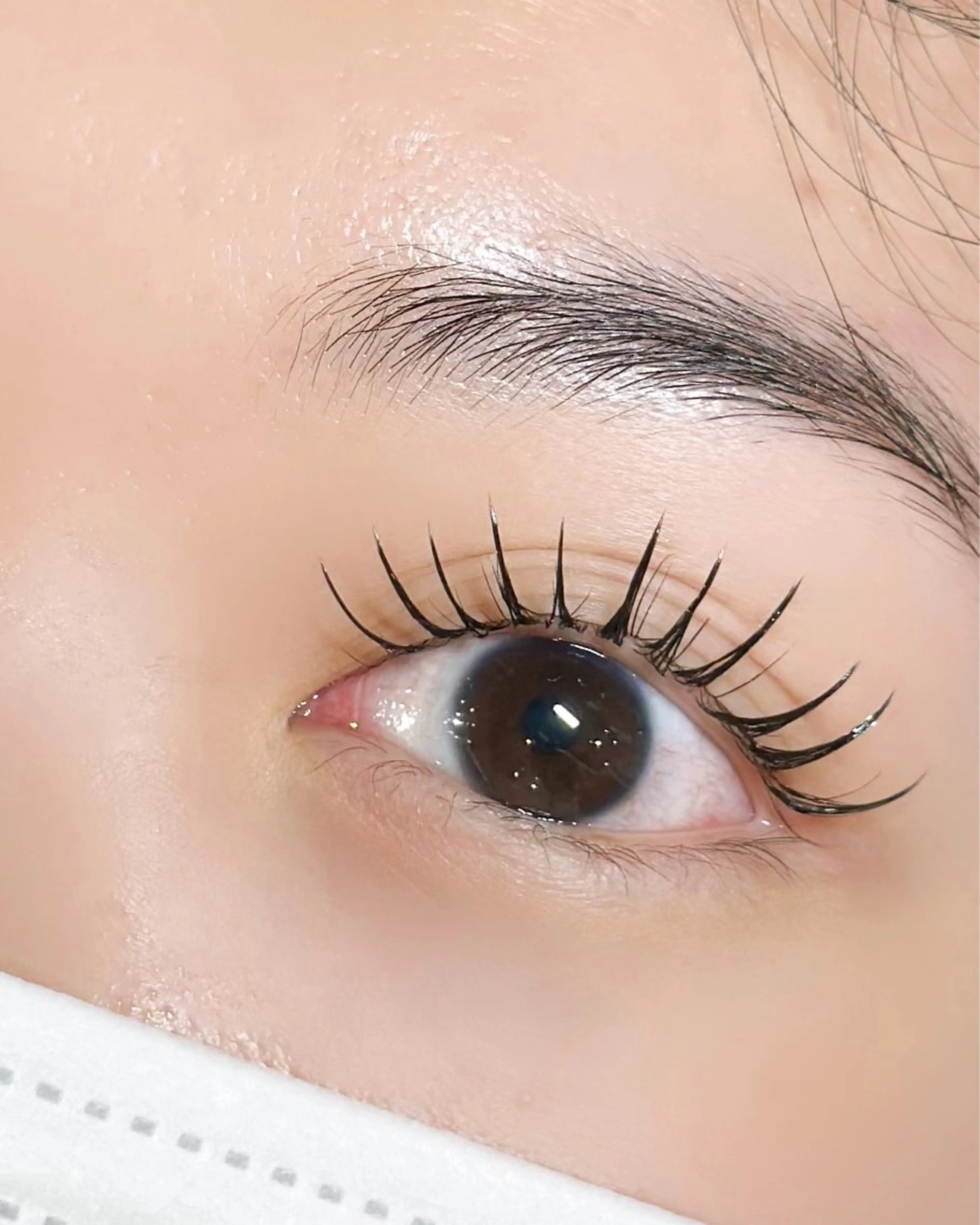 マツエク・マツパ パリジェンヌラッシュリフト Aprilush🦋 Cieloのマツエク・マツパデザイン