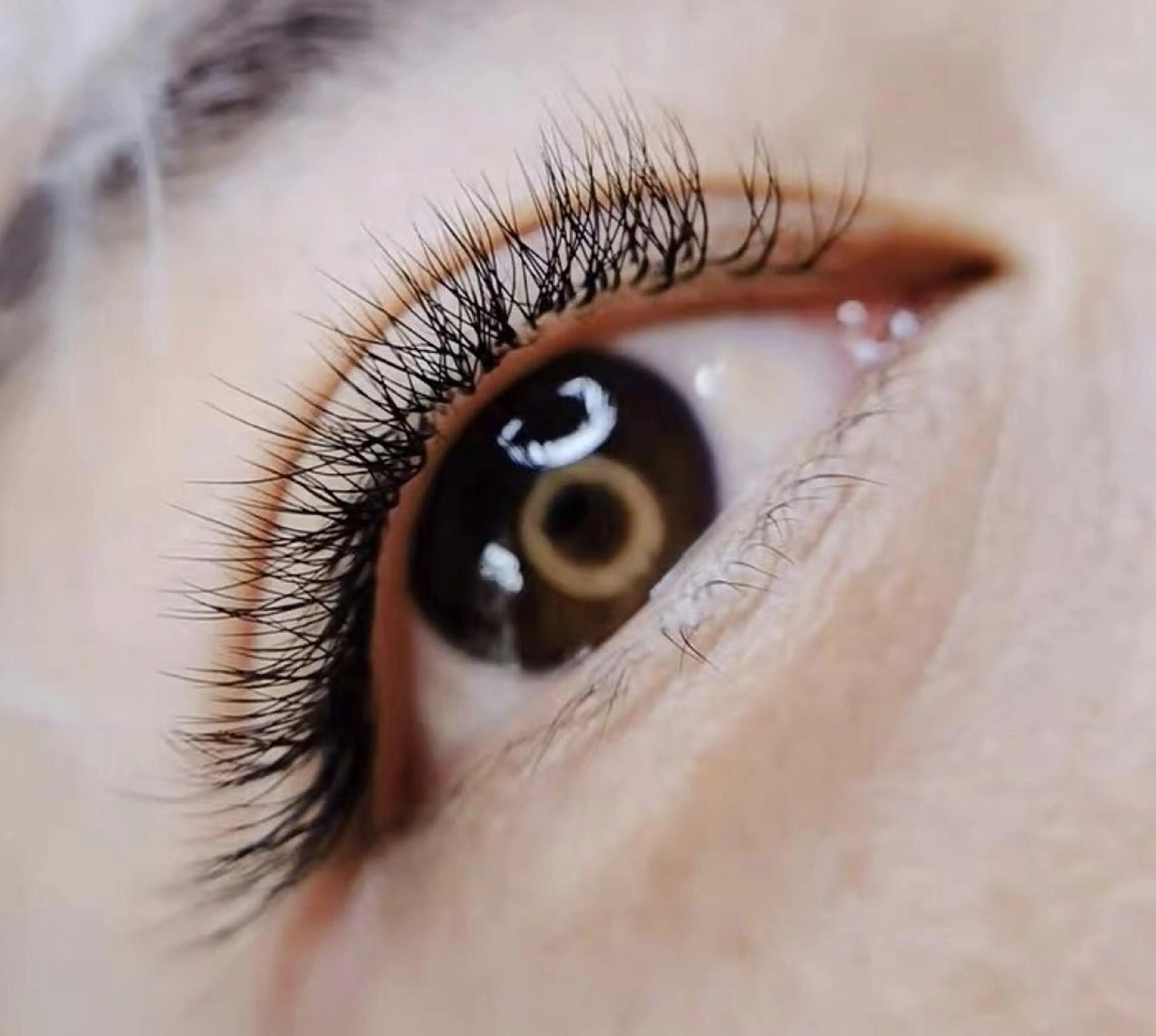 マツエク・マツパ Cute B e au t yのマツエク・マツパデザイン