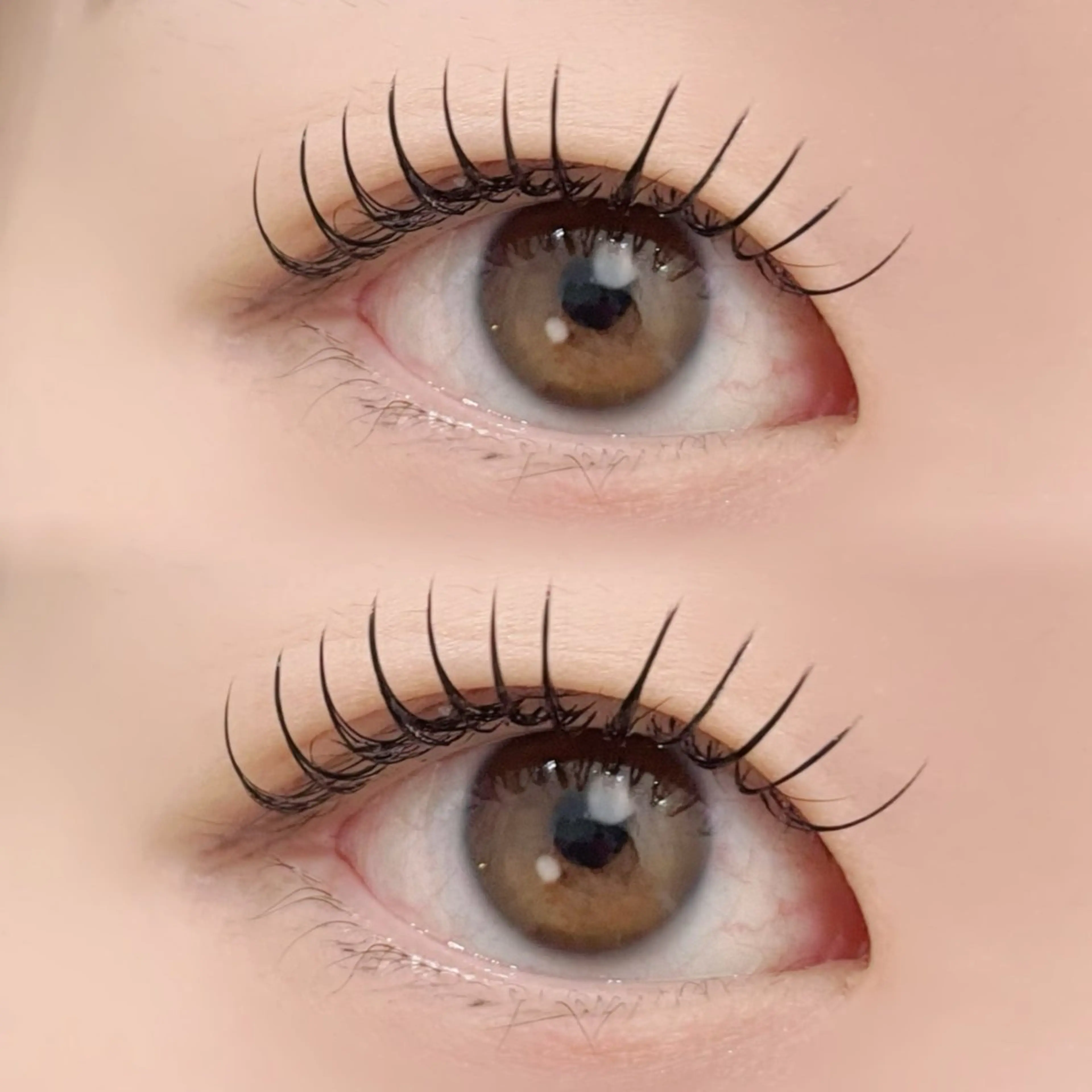 2回目まで　【U22学割🌸】LEDマツエク🌼フラットラッシュ120本　オフ込みの写真