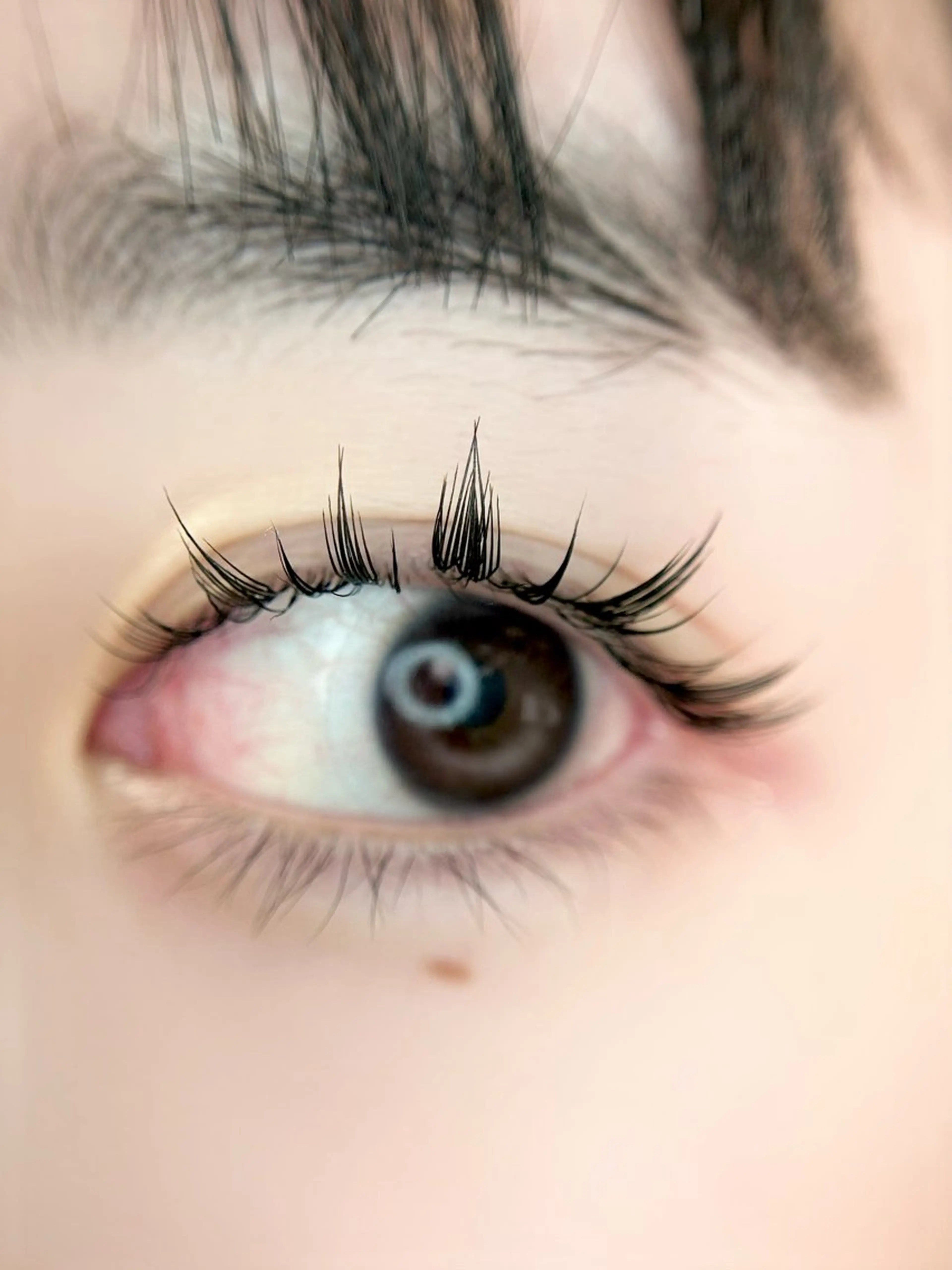 マツエク・マツパ ワンホンマツエク 🎀eyelist. mizuki🐈‍⬛の眉毛・アイブロウイメージ