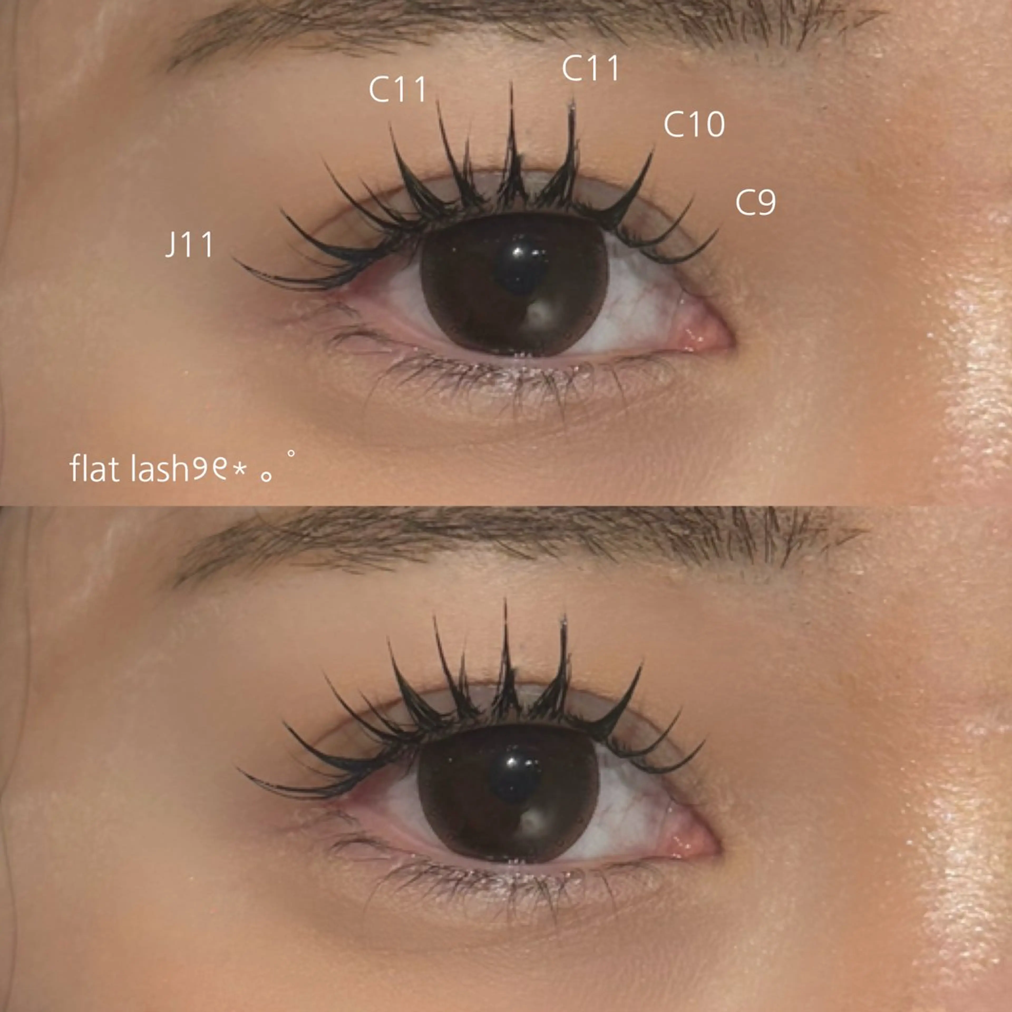 マツエク・マツパ マツエク 🎀NORA ayakaのマツエク・マツパデザイン