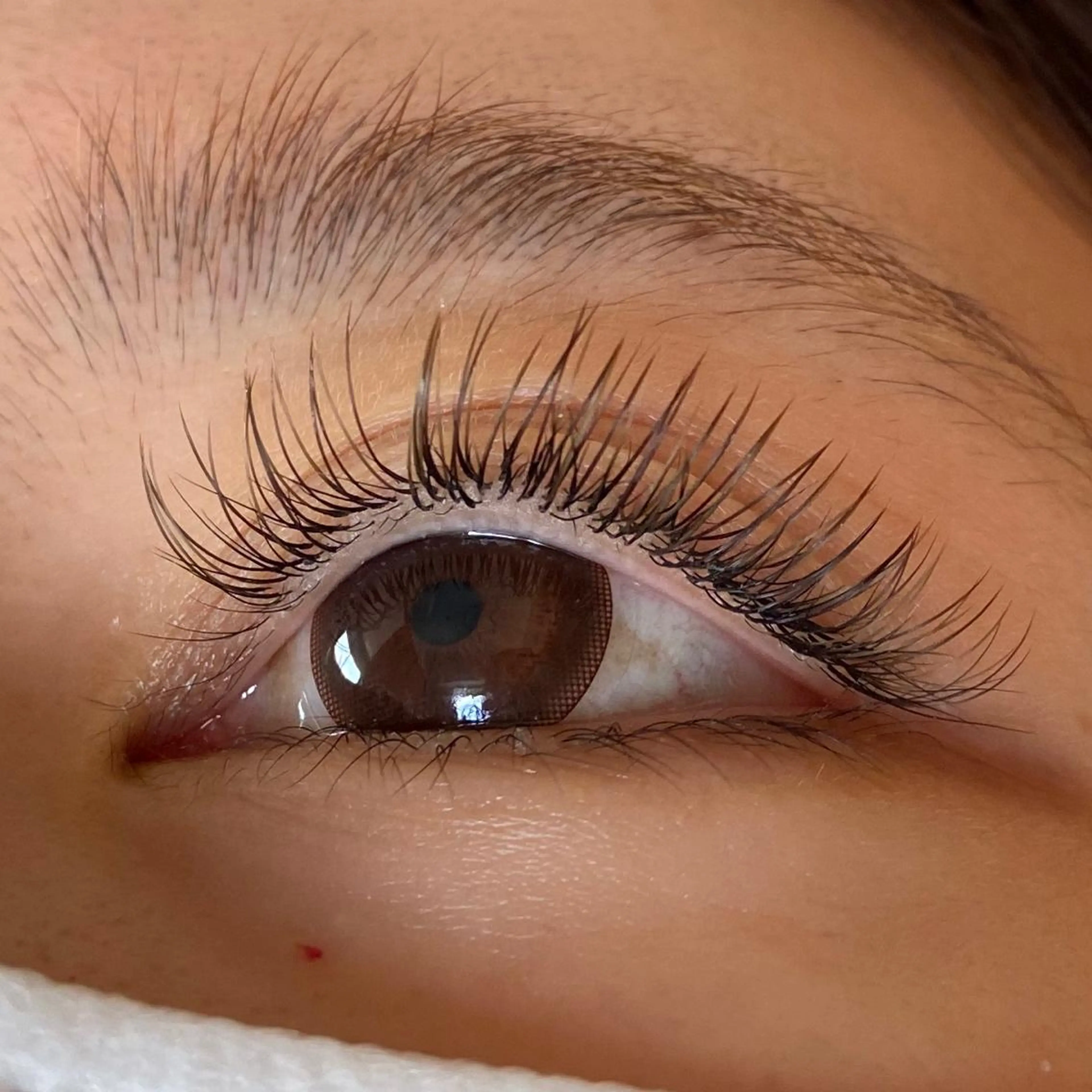 カラーエクステ90分付け放題2色までmix可♡カラーフラット＋500円の写真