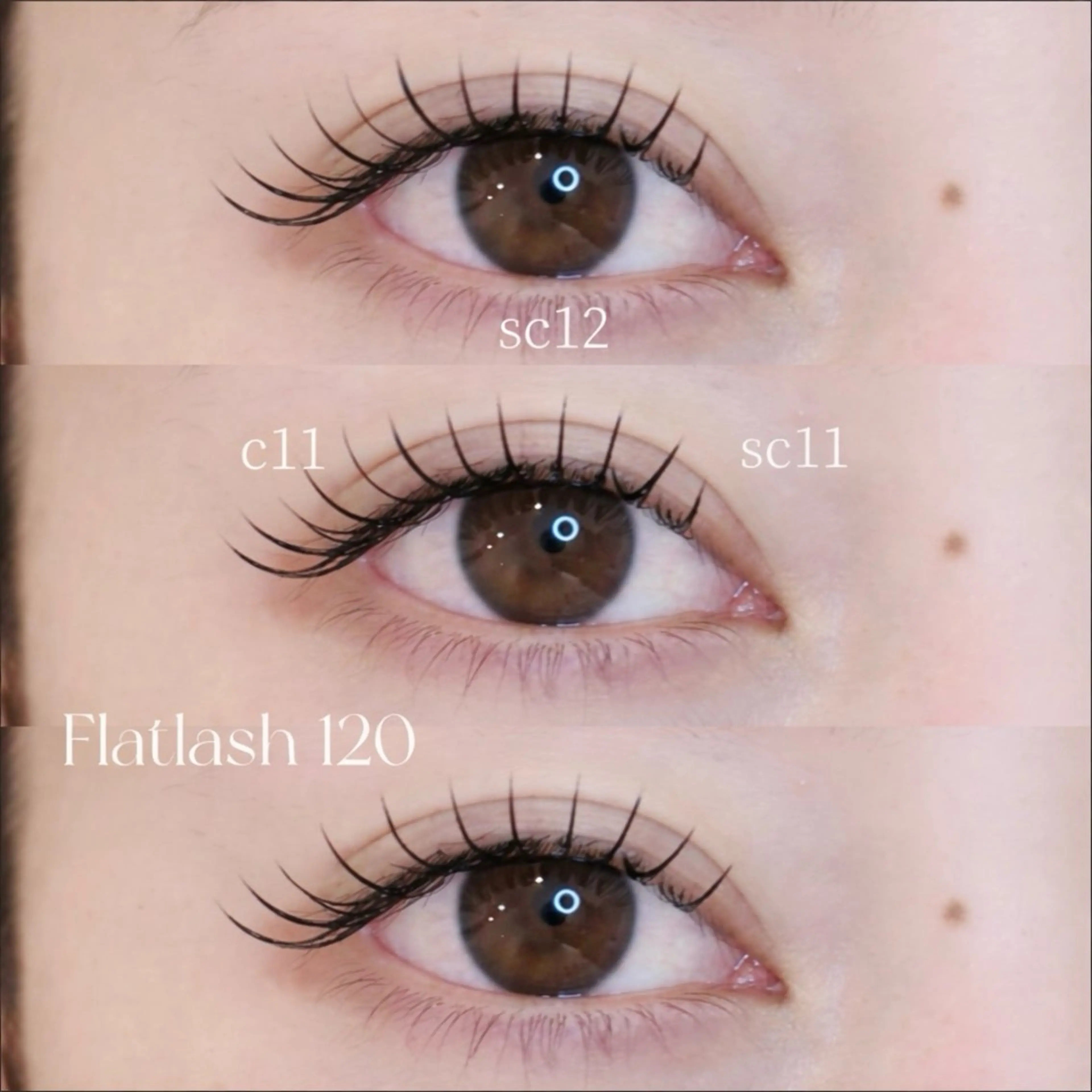 マツエク・マツパ マツエク Gypso 柏の葉 1のマツエク・マツパデザイン