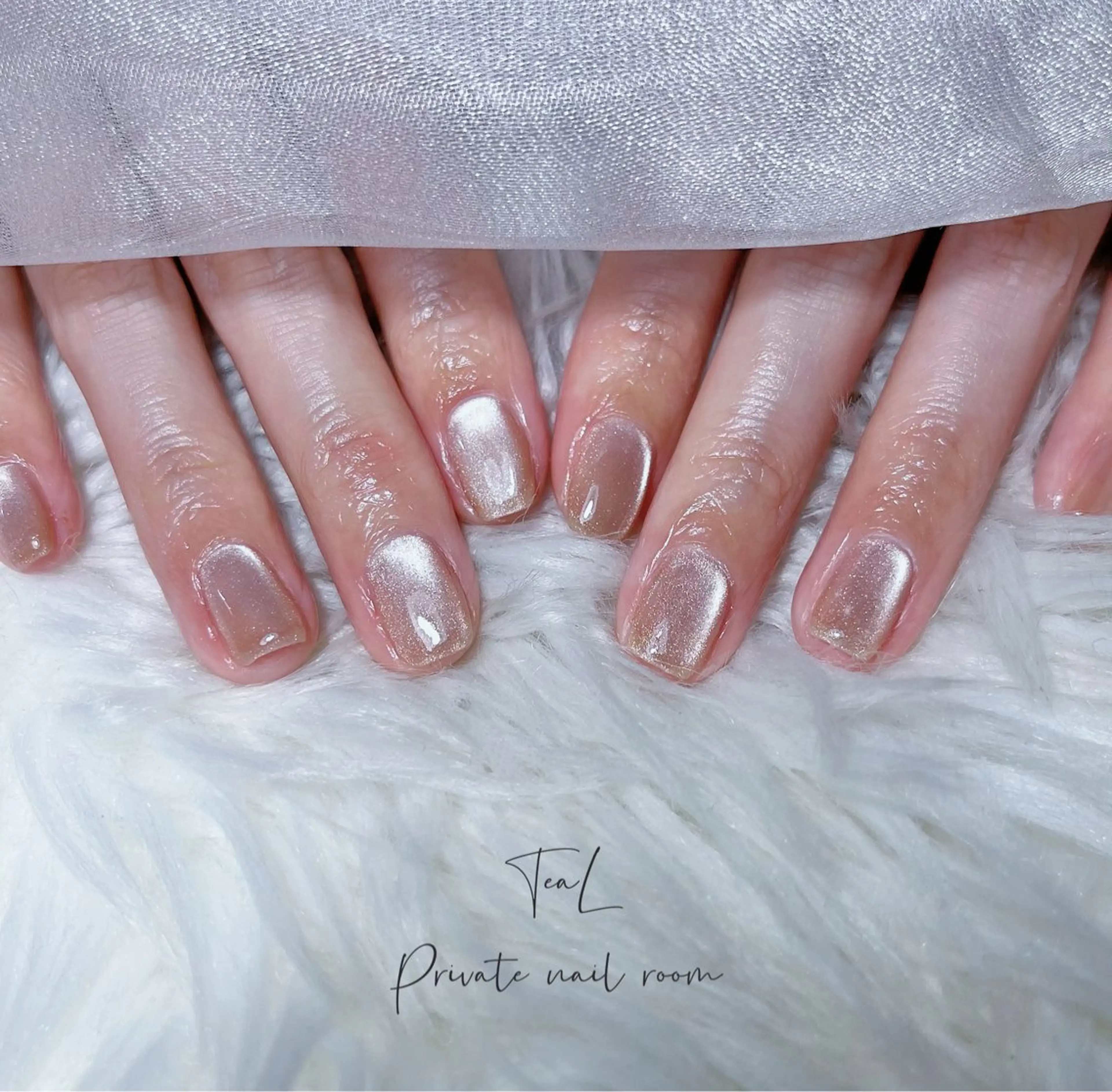 ネイル マグネットネイル ワンカラーネイル シンプルネイル ハンドネイル TeaL nailのネイルデザイン