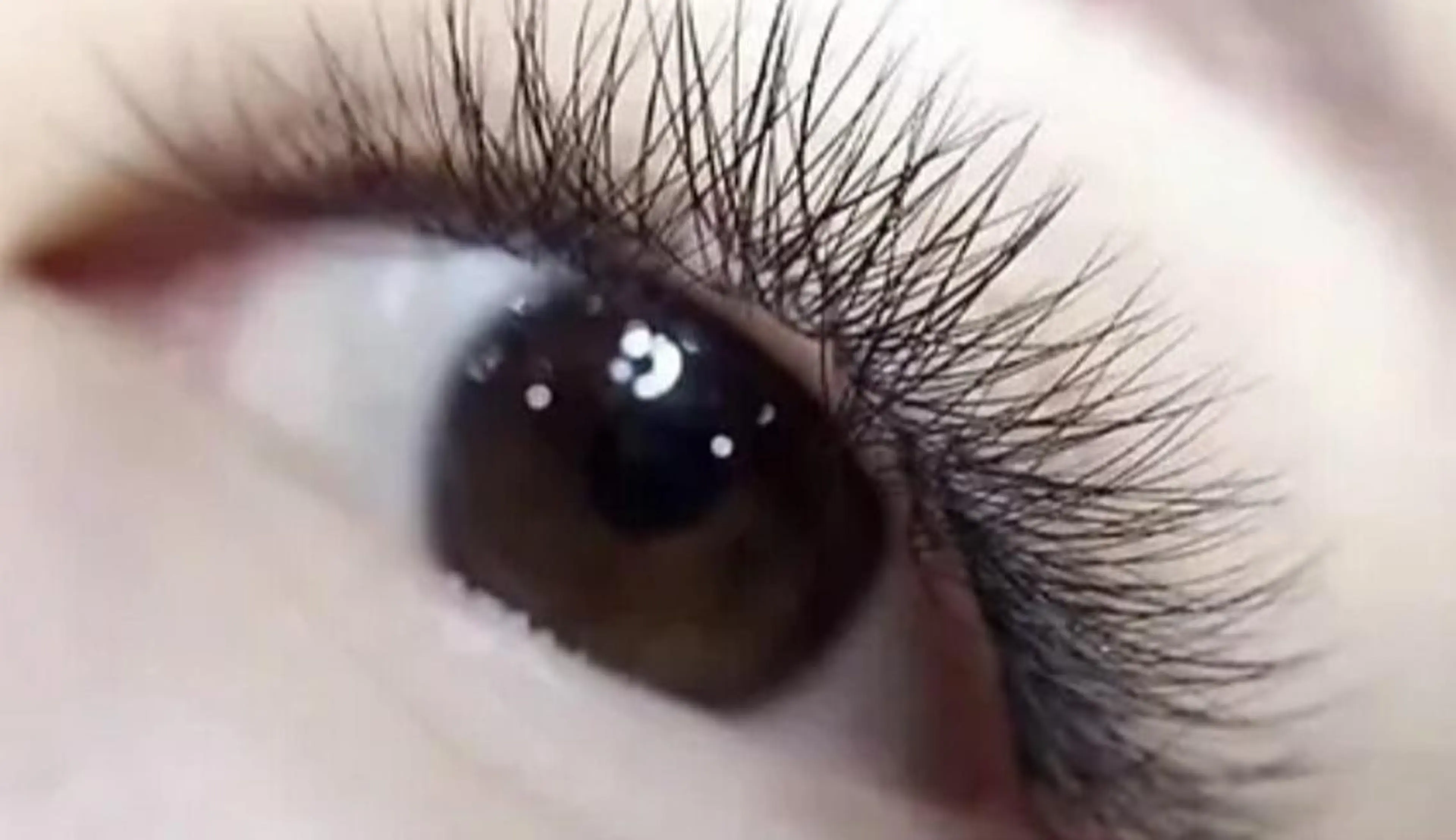 【オフあり】LEDクロスボリュームラッシュ180本までつけ放題　アイシャンプー付☆の写真