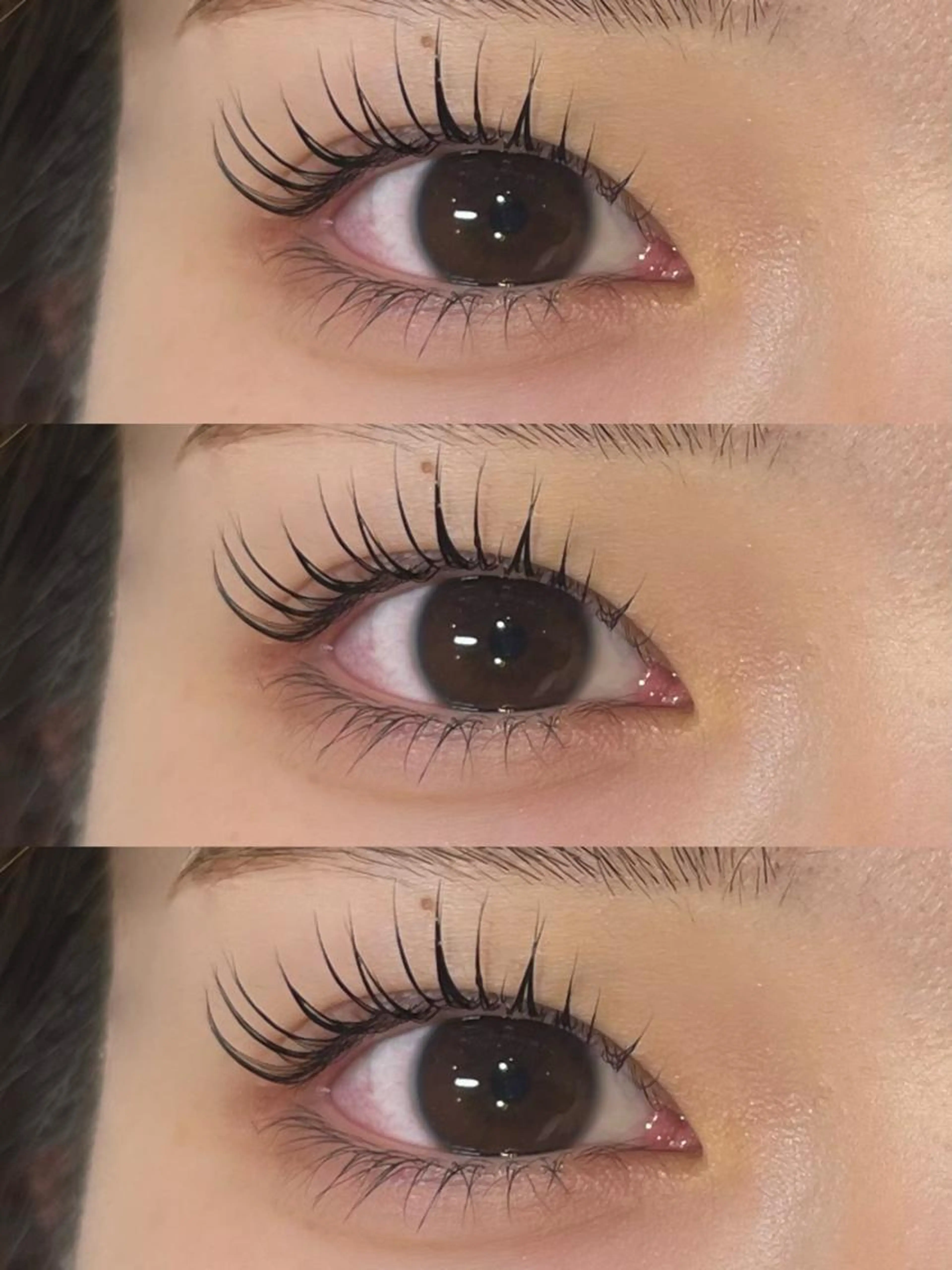 人気📍【上下ラッシュリフト（パリジェンヌ含む）＋トリートメント付き】の写真