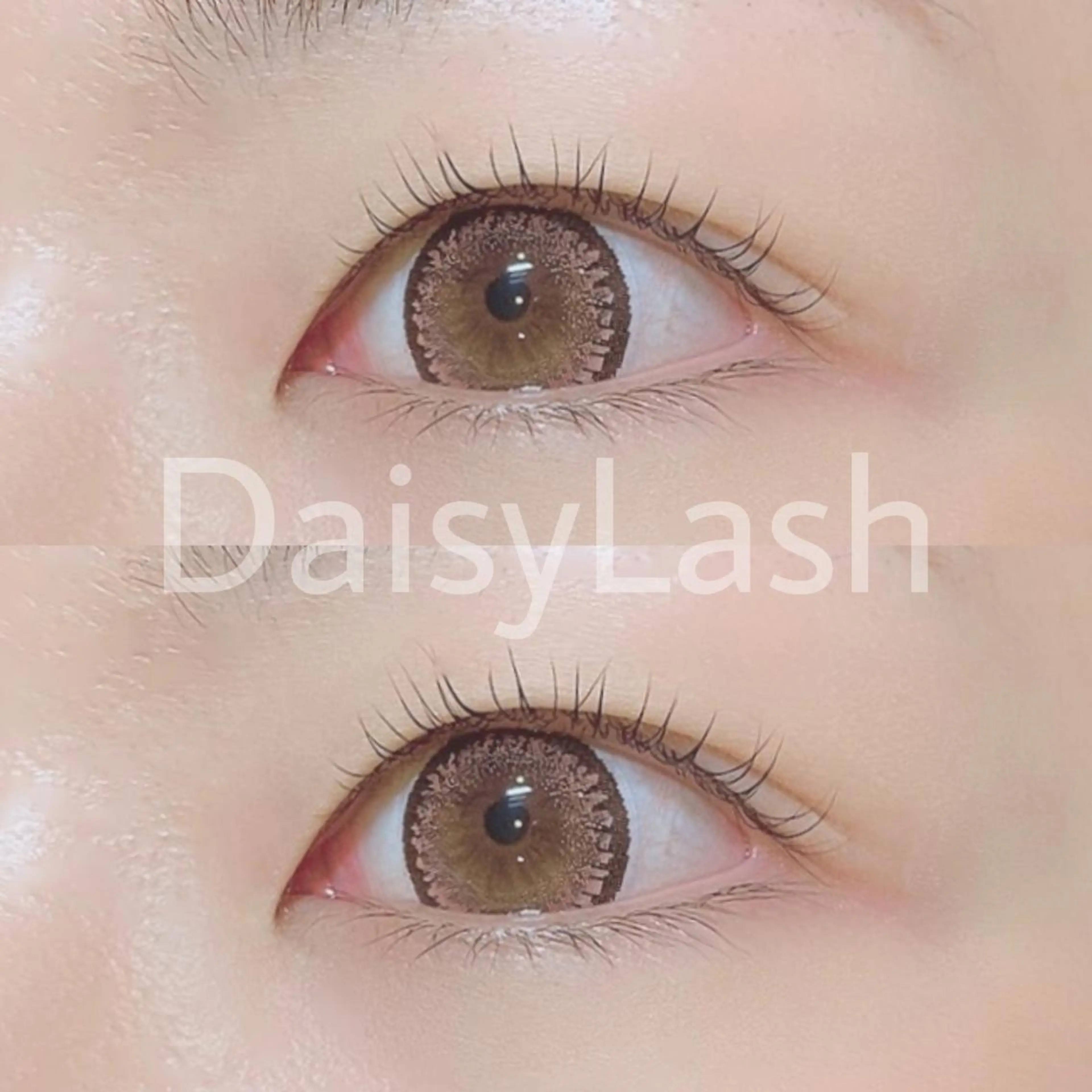 マツエク・マツパ DaisyLash 京橋店のマツエク・マツパデザイン