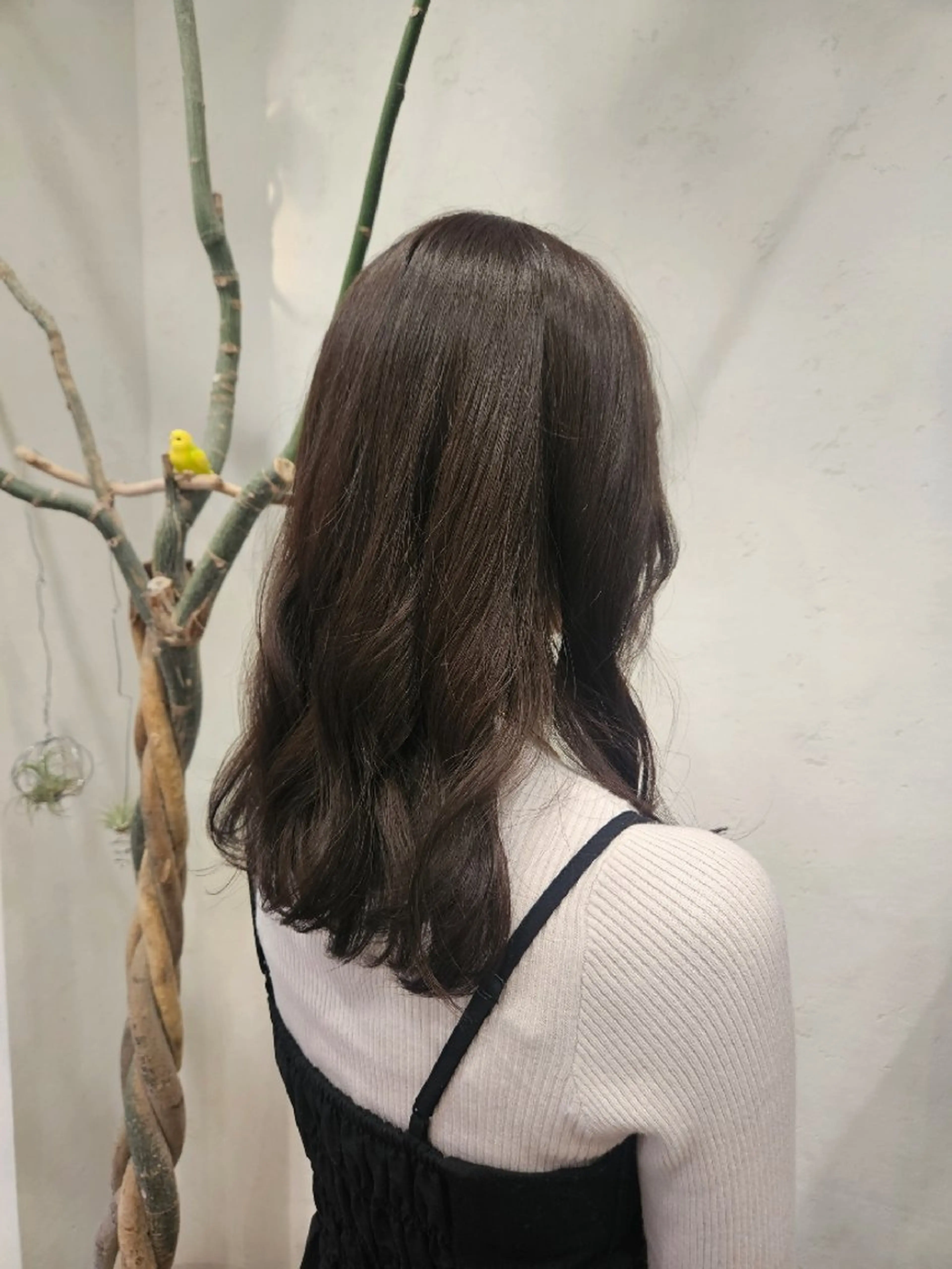 セミロング カラー カット ヘアカラー トリートメント 関口 友菜のヘアスタイル