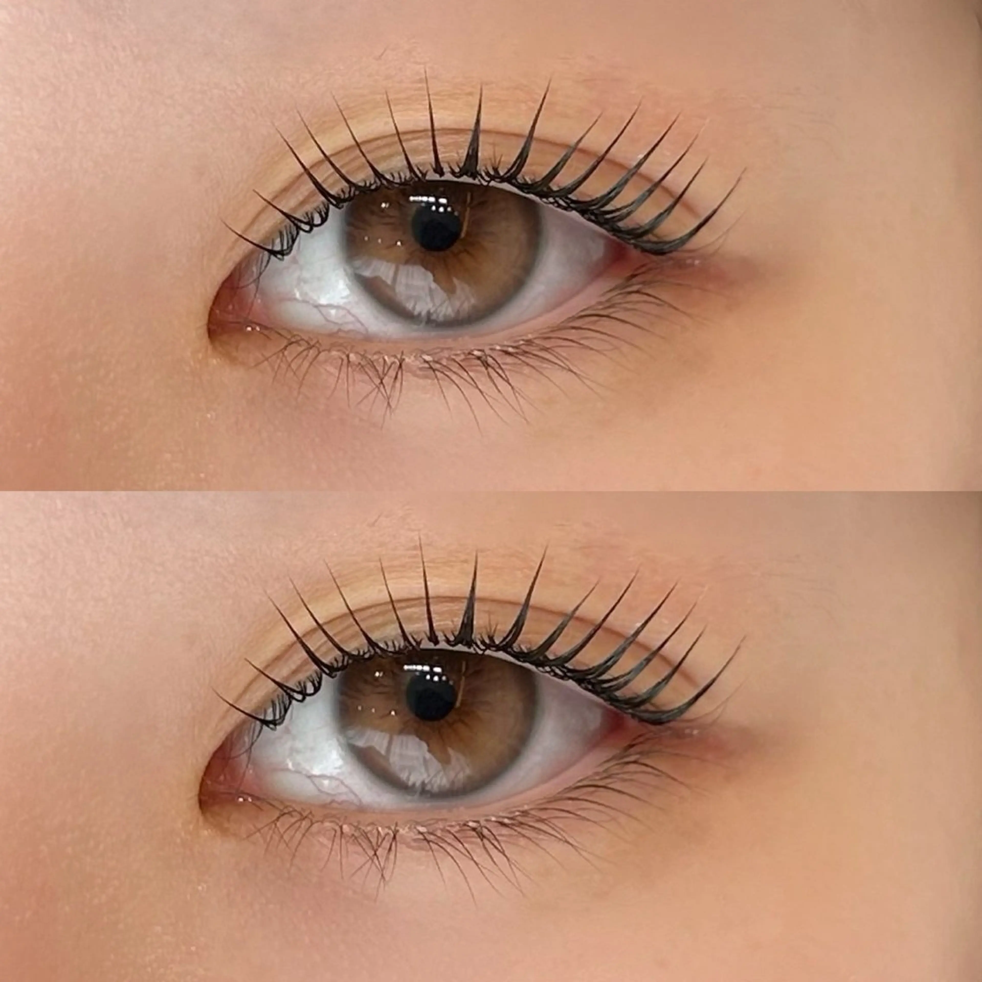 【練習モデル】4月限定🍊上まつ毛パーマor上パリジェンヌ🍊補足説明必ずお読み下さい🙇‍♀️＾の写真