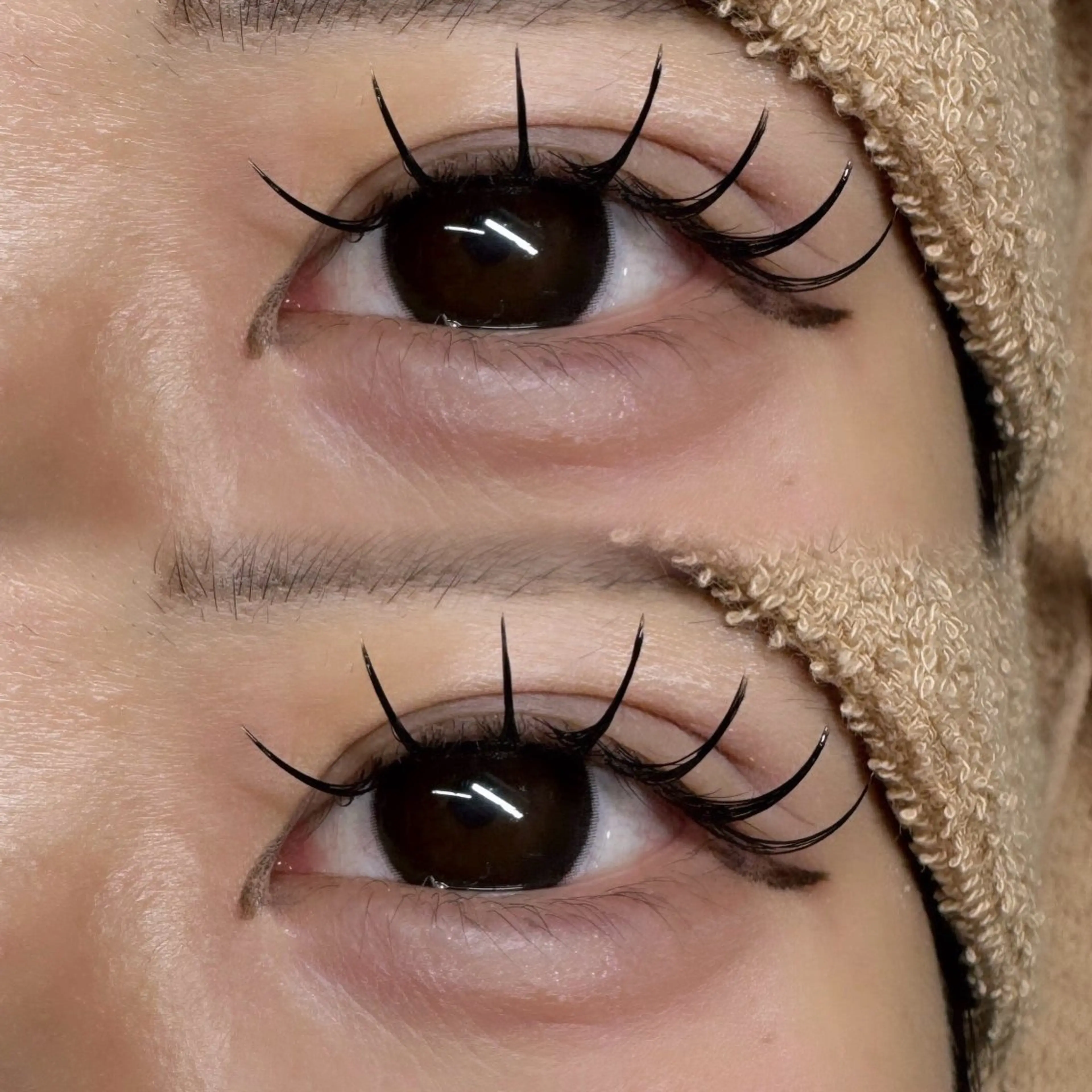 マツエク・マツパ 蛯原 藍佳のマツエク・マツパデザイン