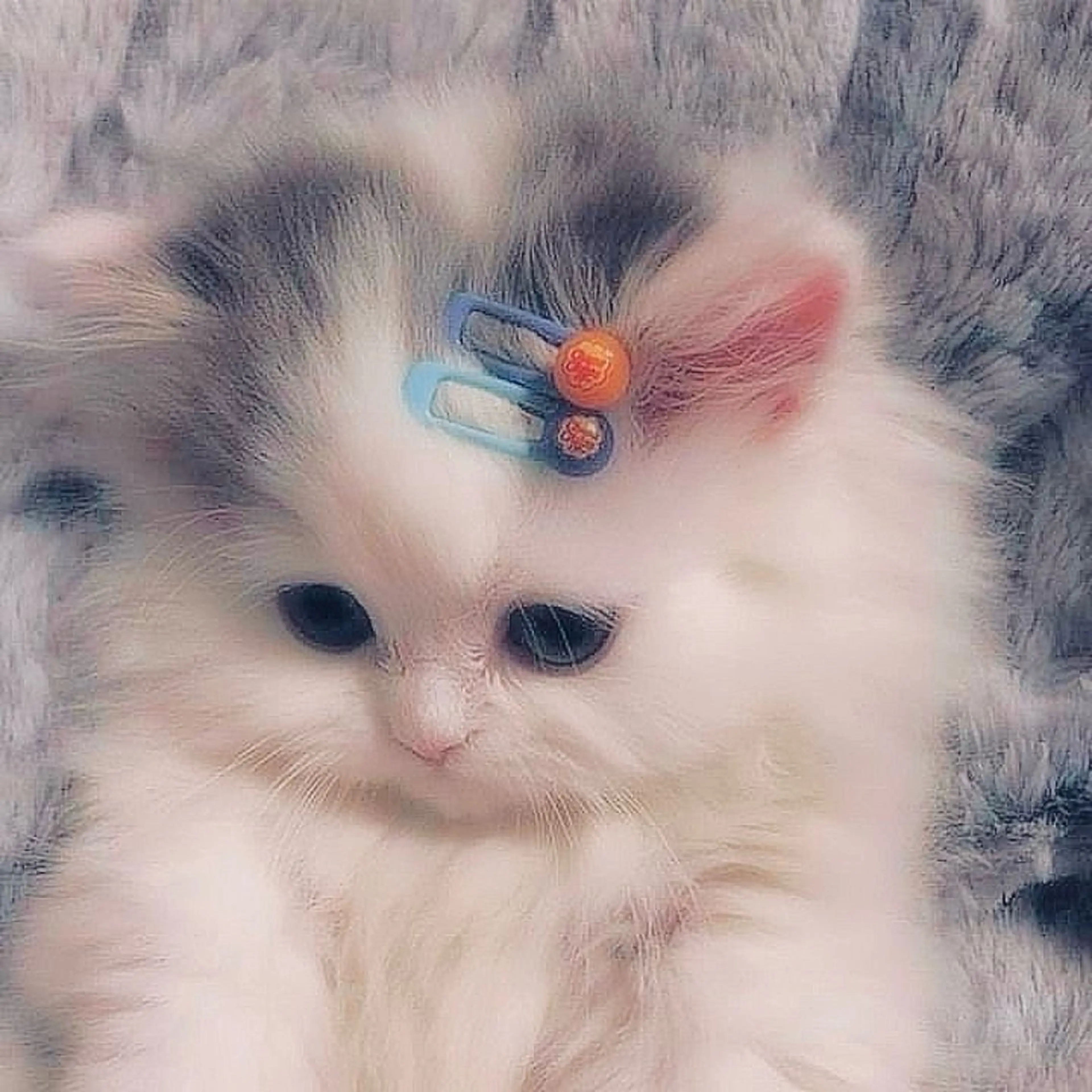 マツエク・マツパ 🎀eyelist. mizuki🐈‍⬛の眉毛・アイブロウイメージ