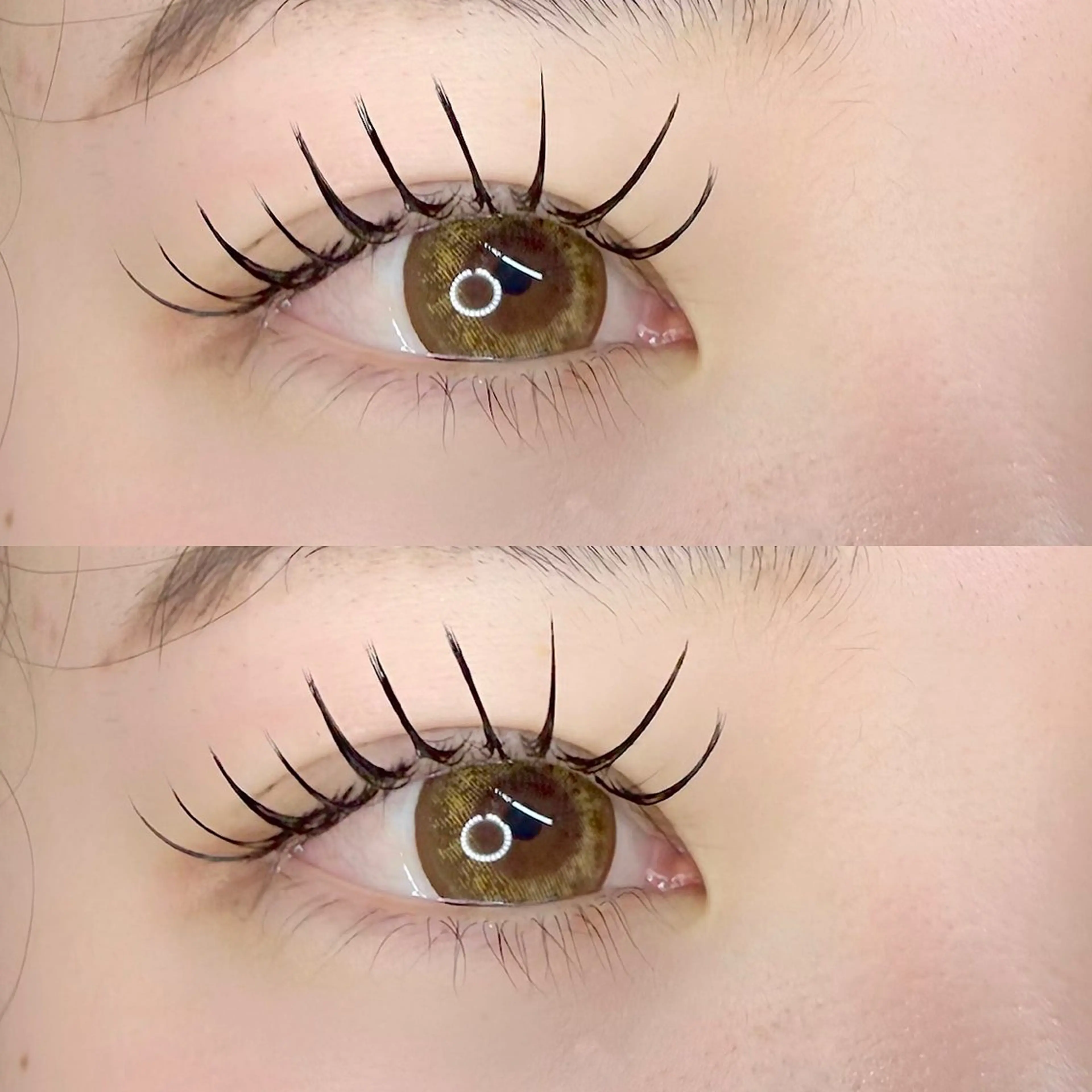 激安!!セーブルラッシュ120本(オフ込)⭐️コーティング仕上げ付の写真