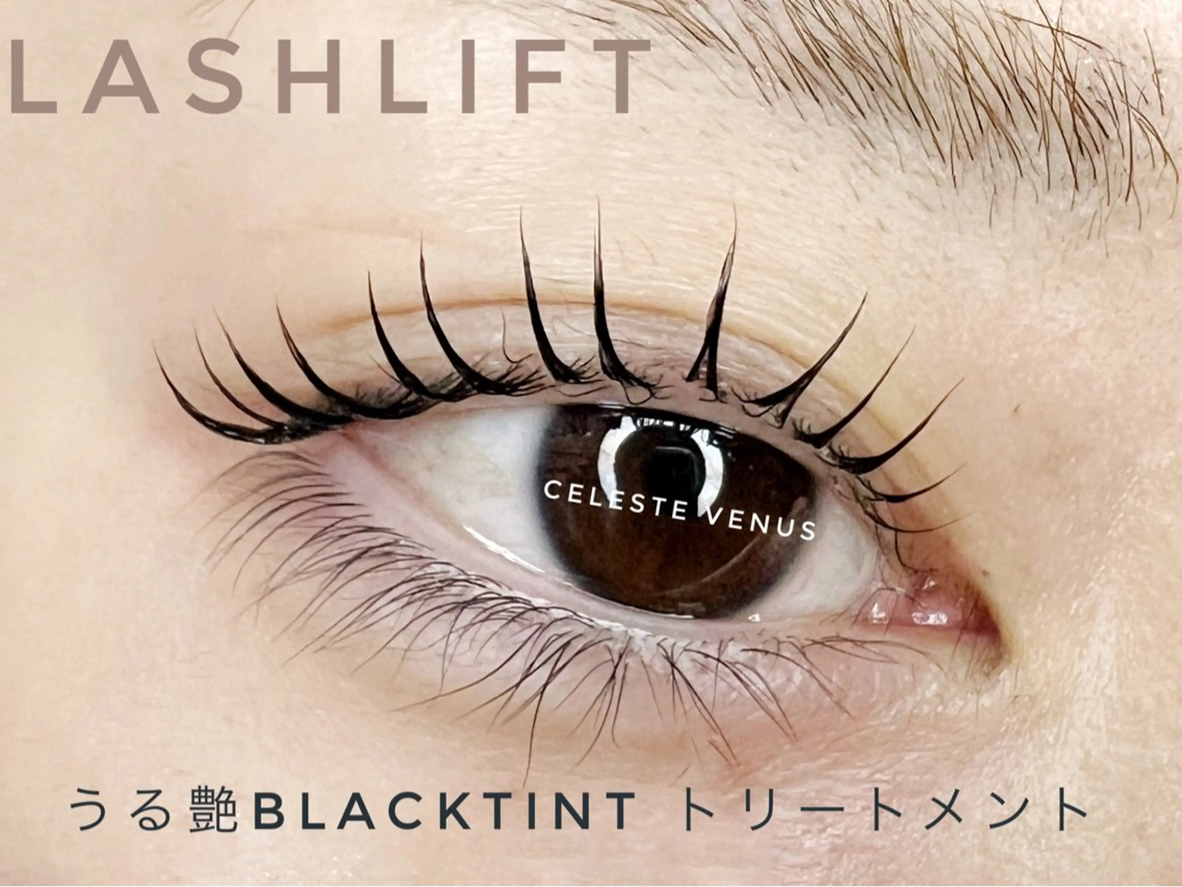 マツエク・マツパ マツパ 🧸Celeste Venusのマツエク・マツパデザイン