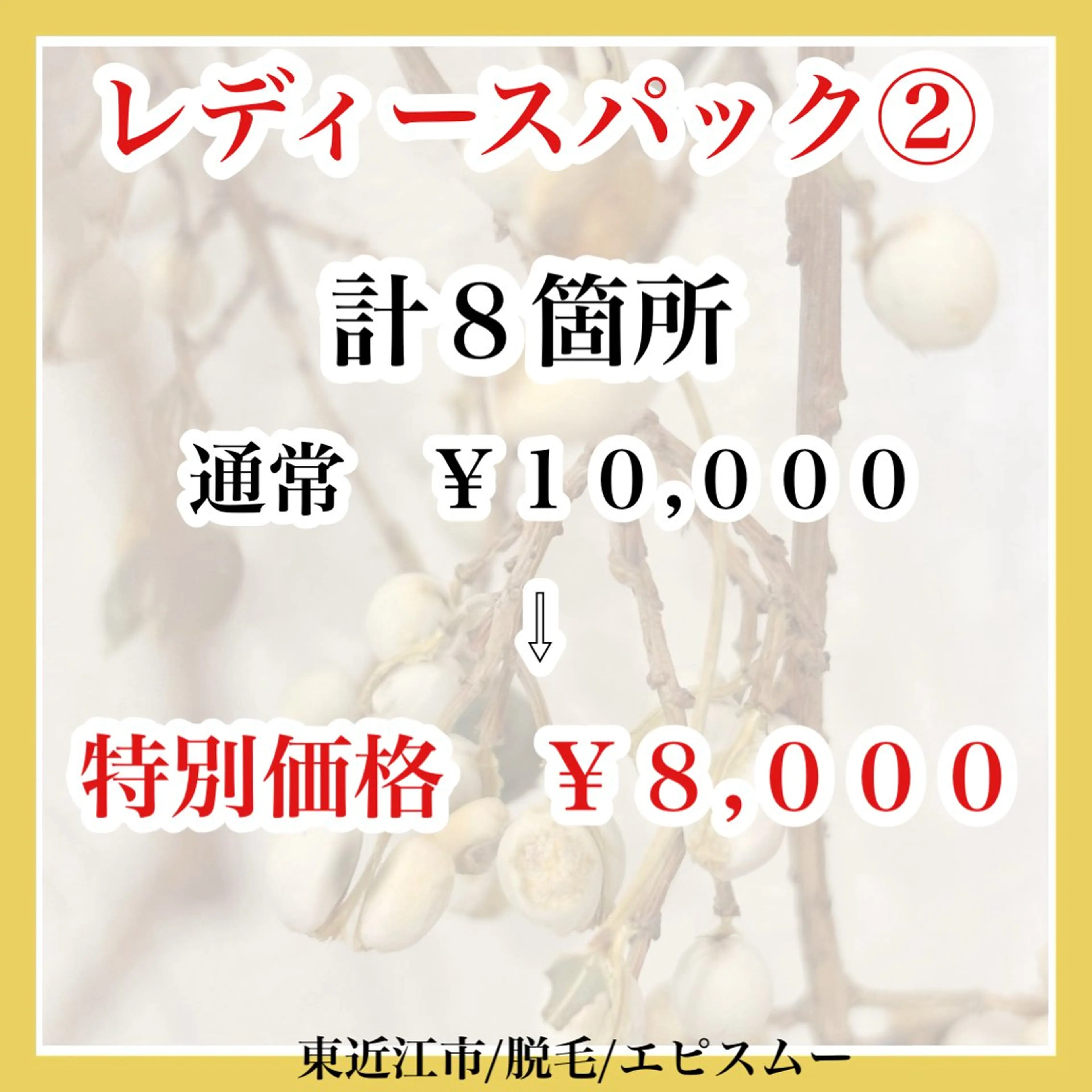 epismoo 脱毛/HBL/毛穴の眉毛・アイブロウイメージ