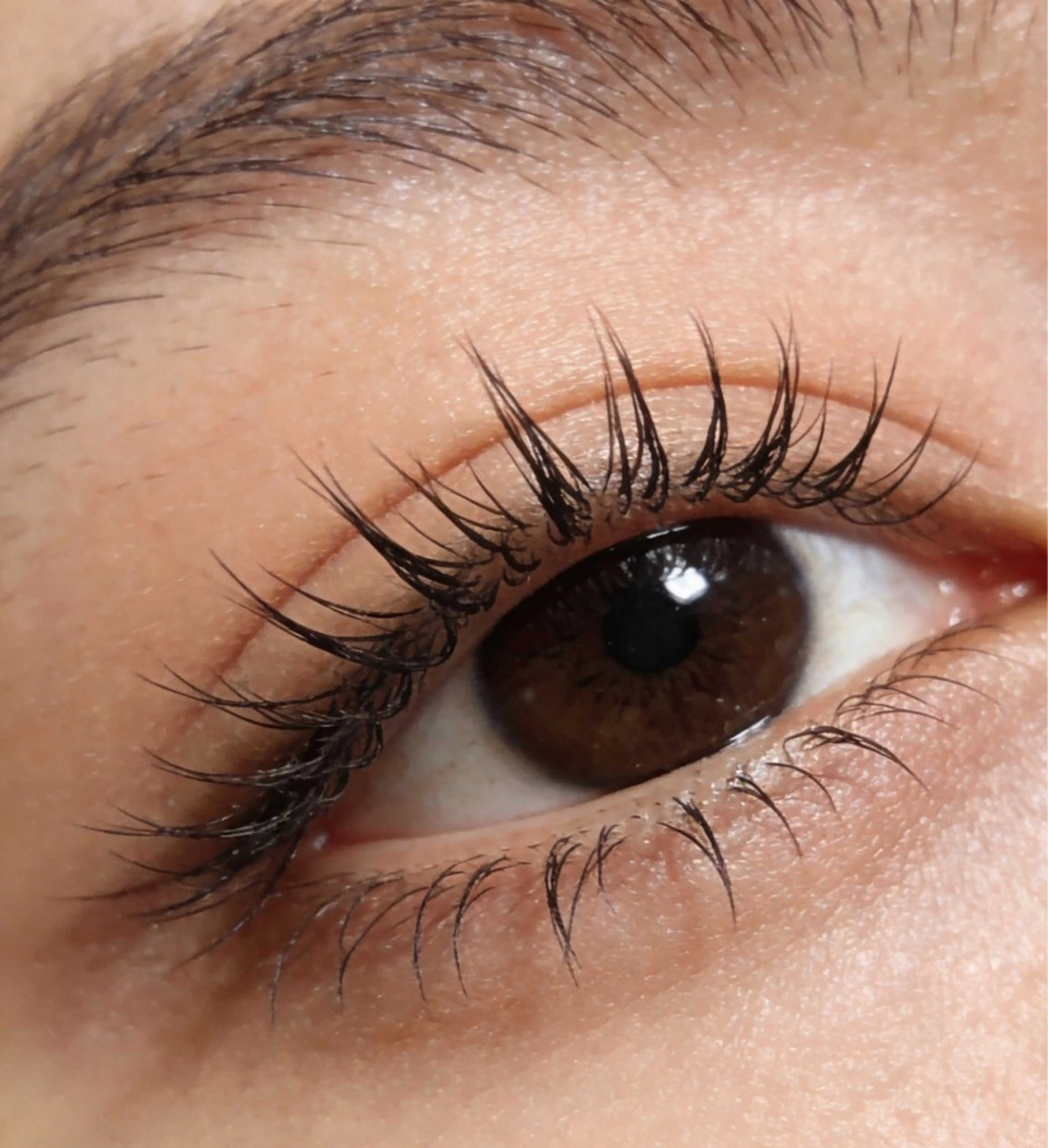 練習モデル🎀 フラットラッシュ 120本➕下20本（オフ無料）口コミ遠慮させていただきます❤️の写真