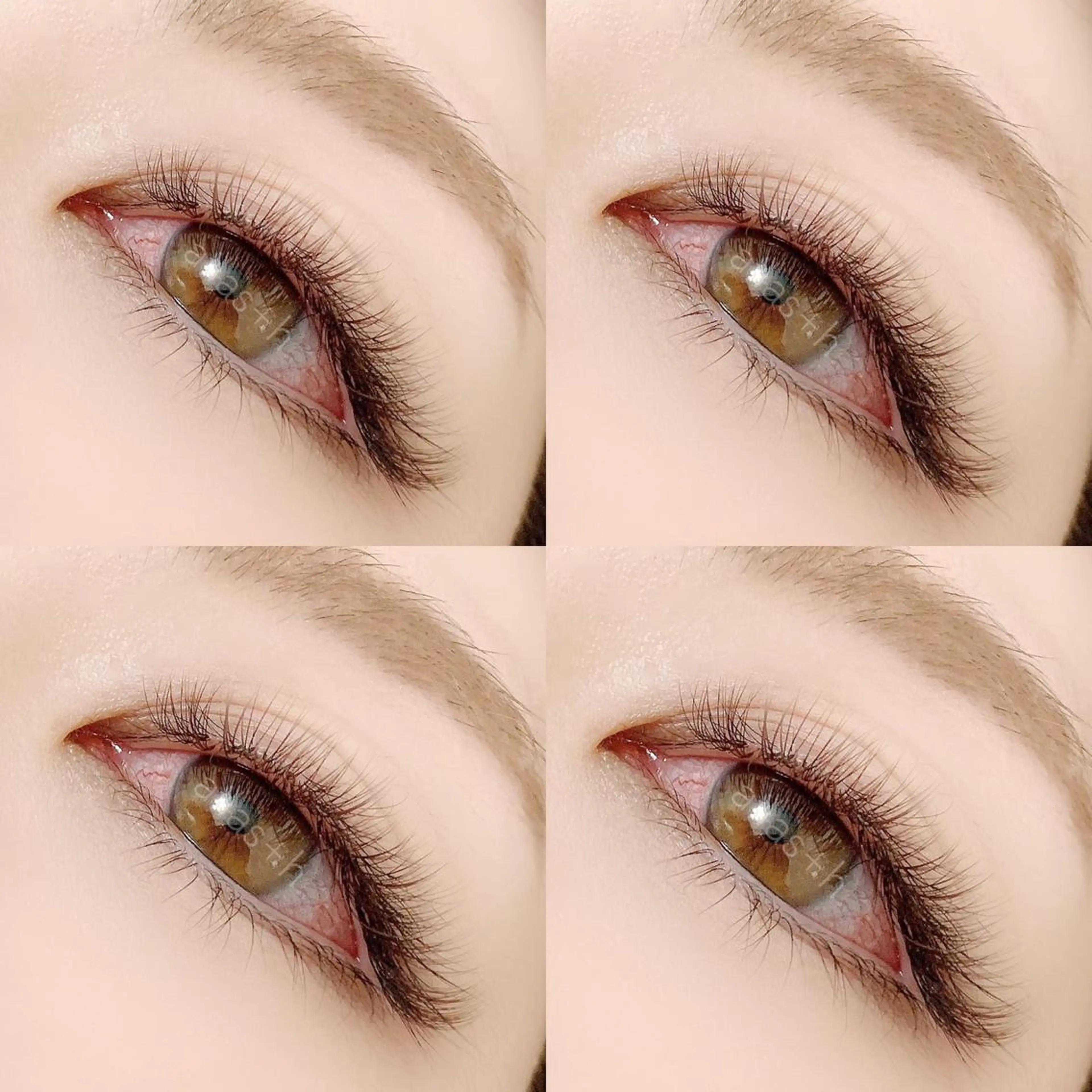 マツエク・マツパ マツエク ailas+h. アイラスのマツエク・マツパデザイン