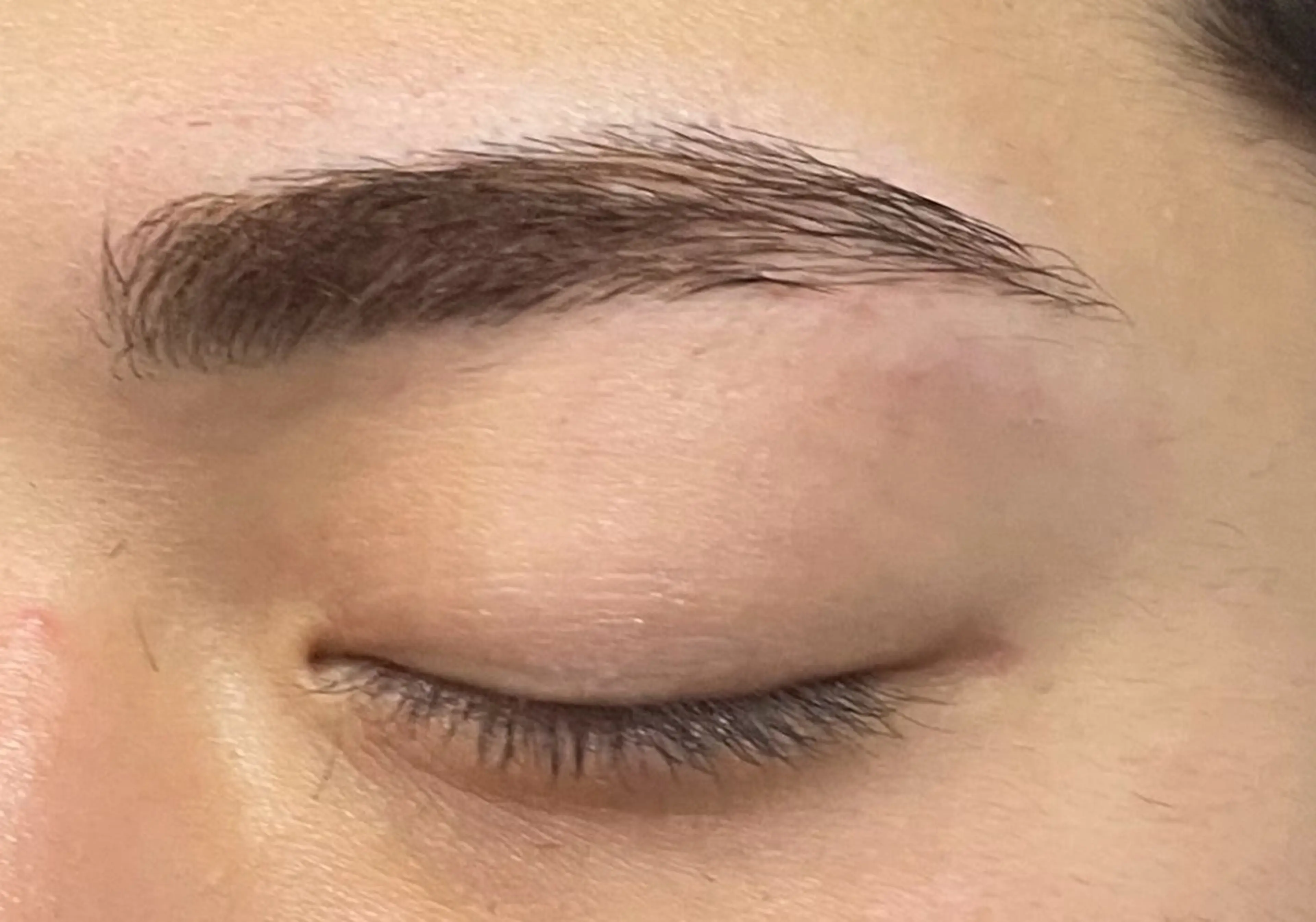 眉毛ワックス脱毛練習モデルの写真