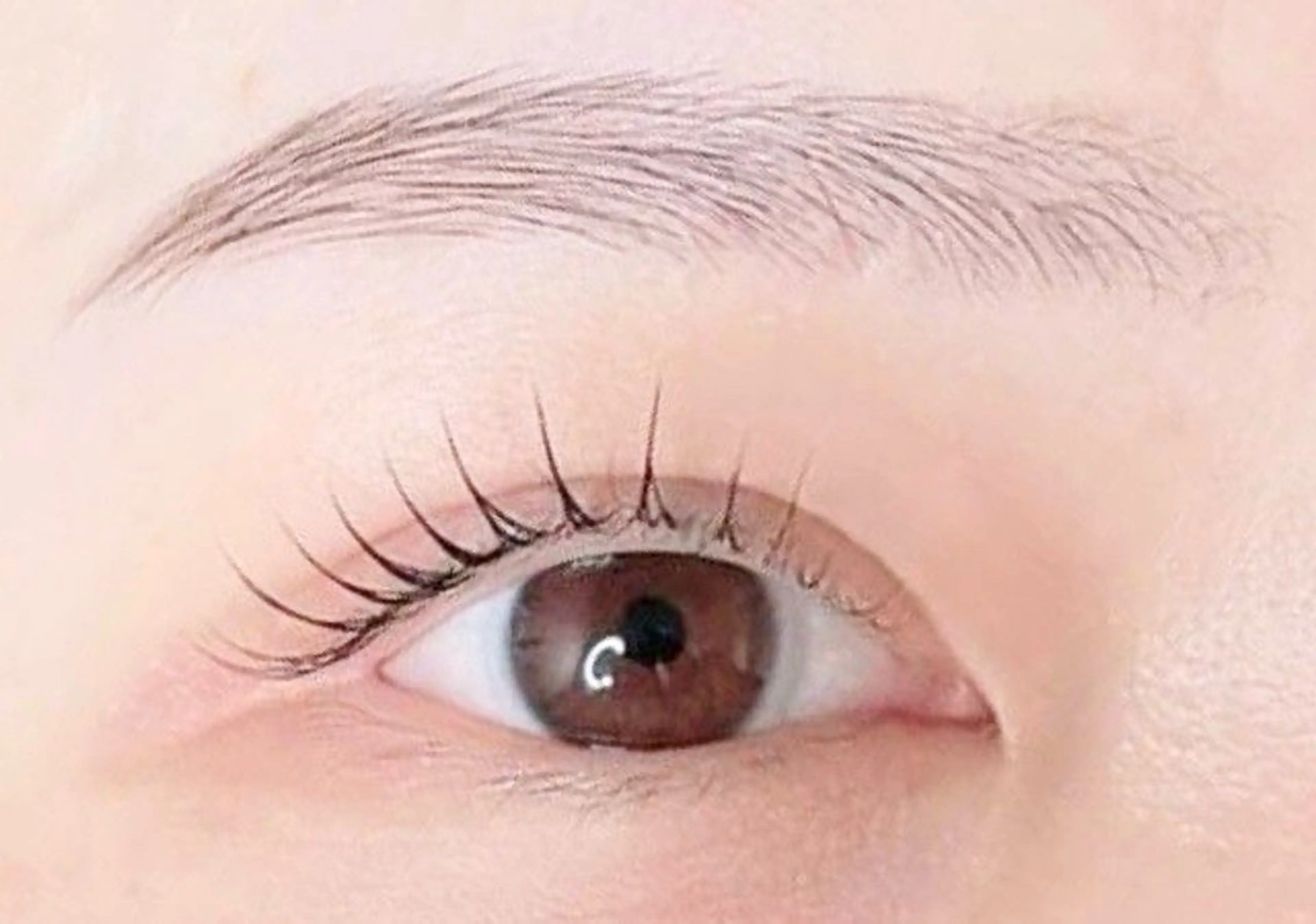 【お得セット割‼️】ケア特化🫧まつぱ＆眉waxセット🩶の写真