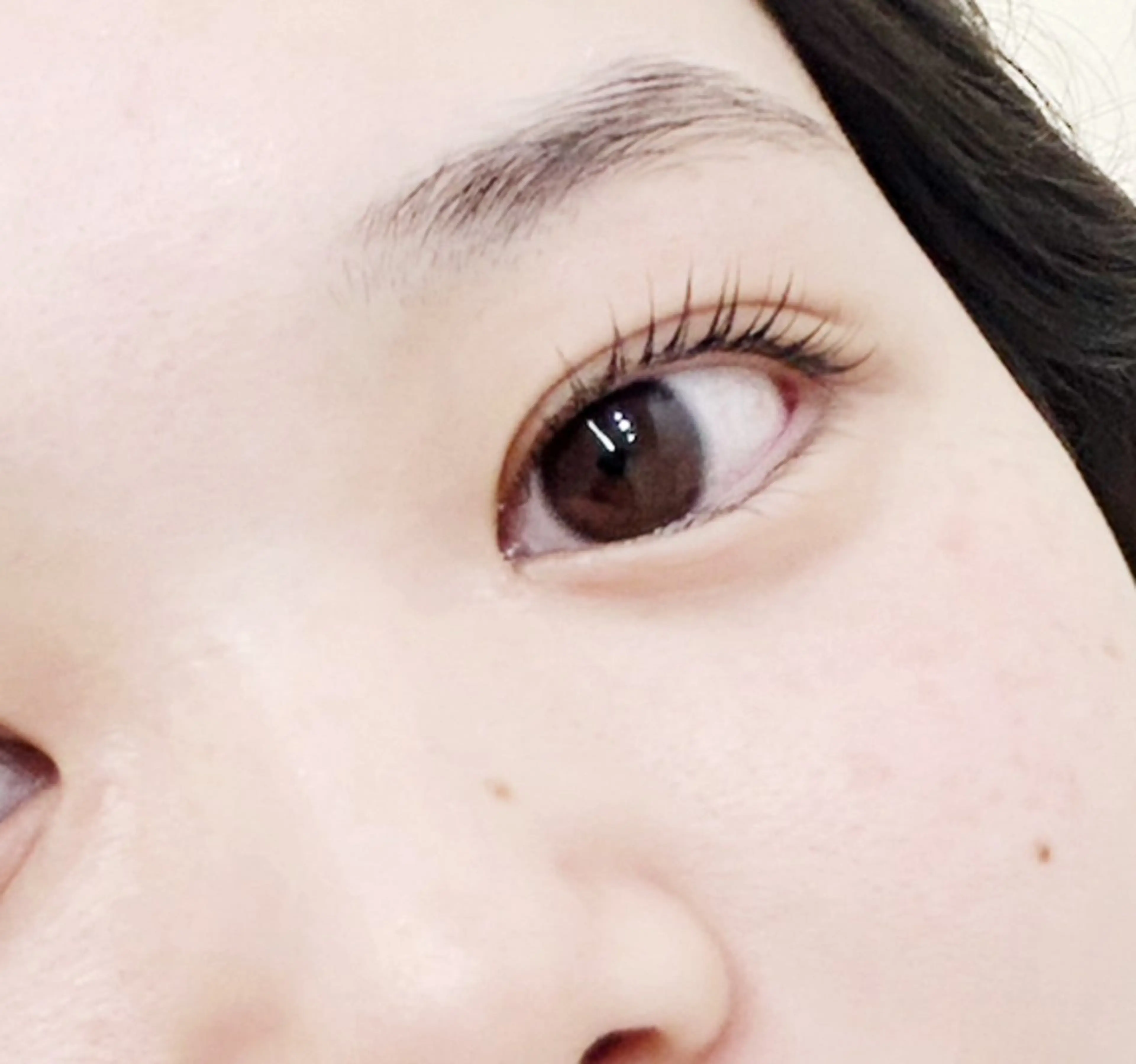 【無料モデル募集】 まつげパーマ🌼の写真