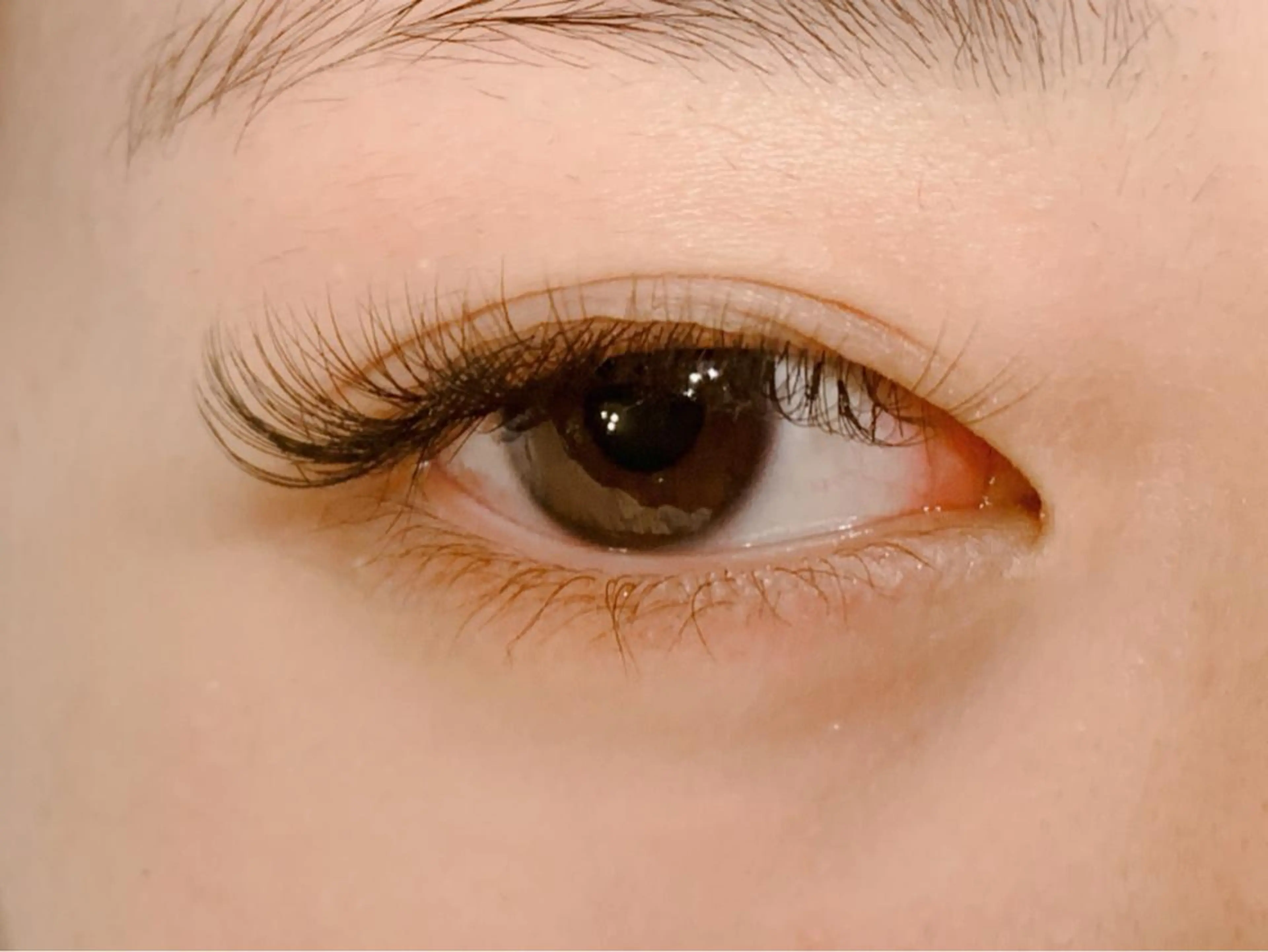 オフ無料🍀ロイヤルラッシュ100本🍀写真撮影可能な方☆の写真