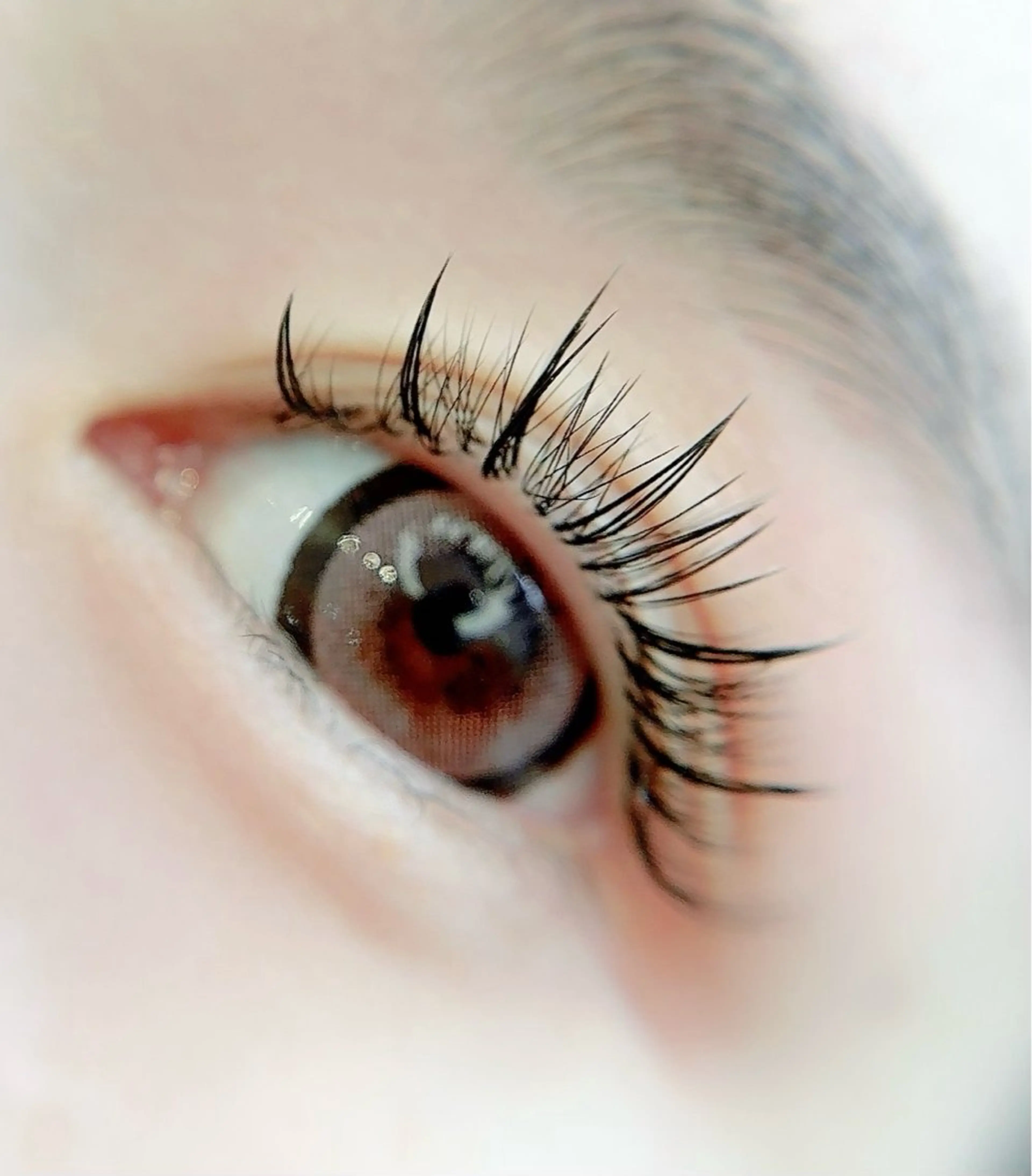 マツエク・マツパ Maile leaf 【マイレリーフ】のマツエク・マツパデザイン