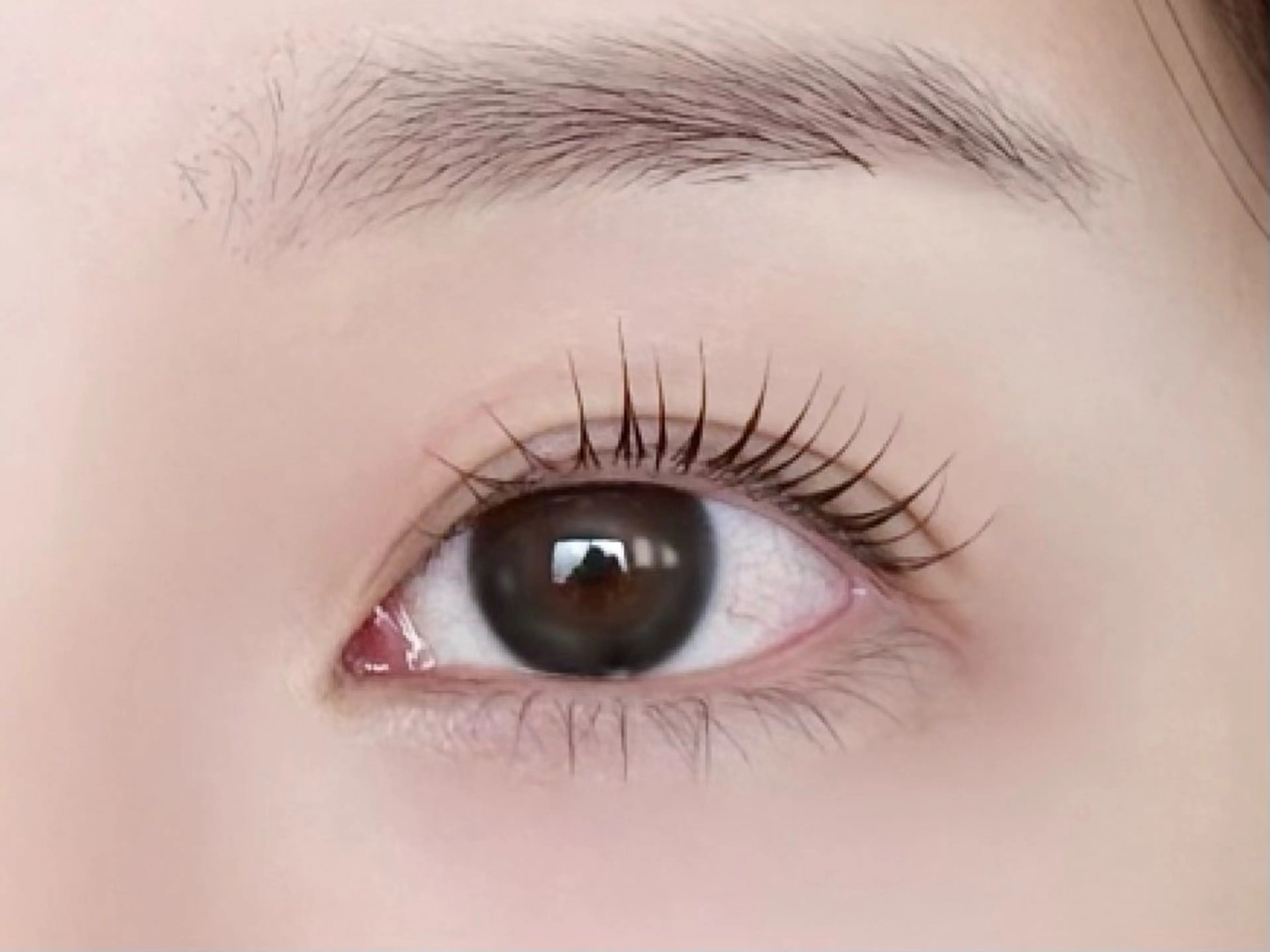 【ご新規様限定】ラッシュリフト/まつ毛パーマ 🎀の写真