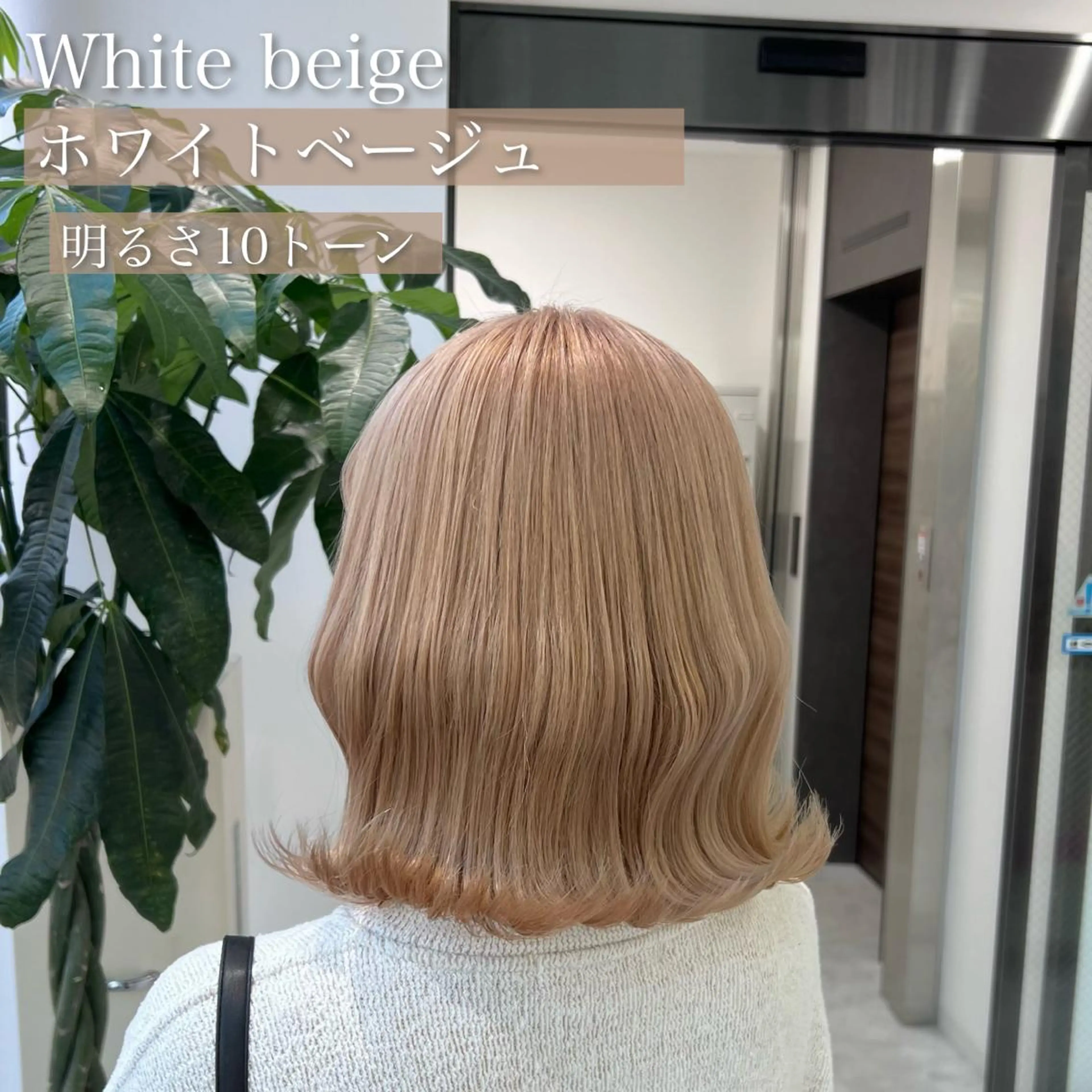 ミディアム カラー ヘアカラー トリートメント ヘッドスパ ヘアセット カラー指名NO.1 🌈Neneのヘアスタイル