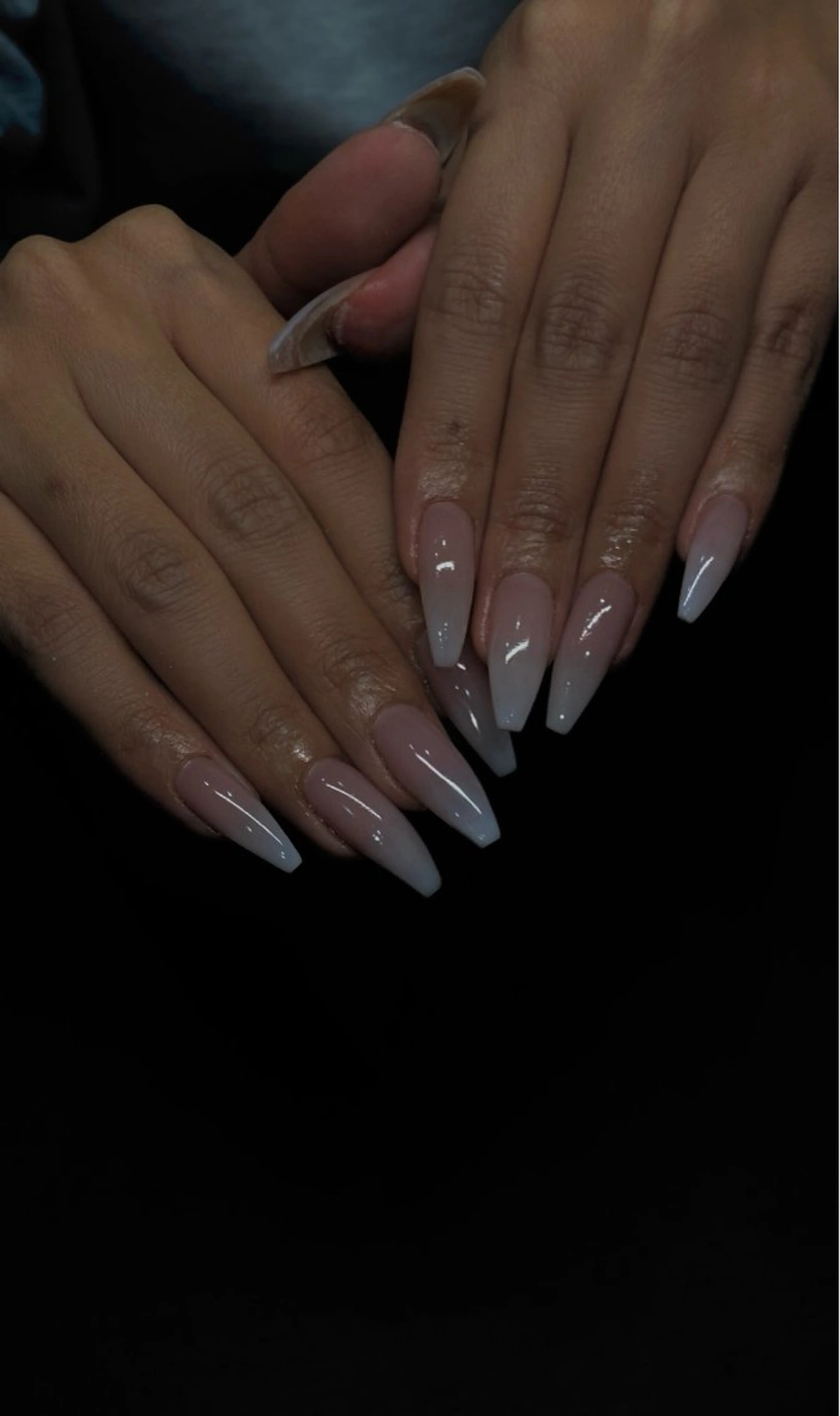 Gradation / meltの写真