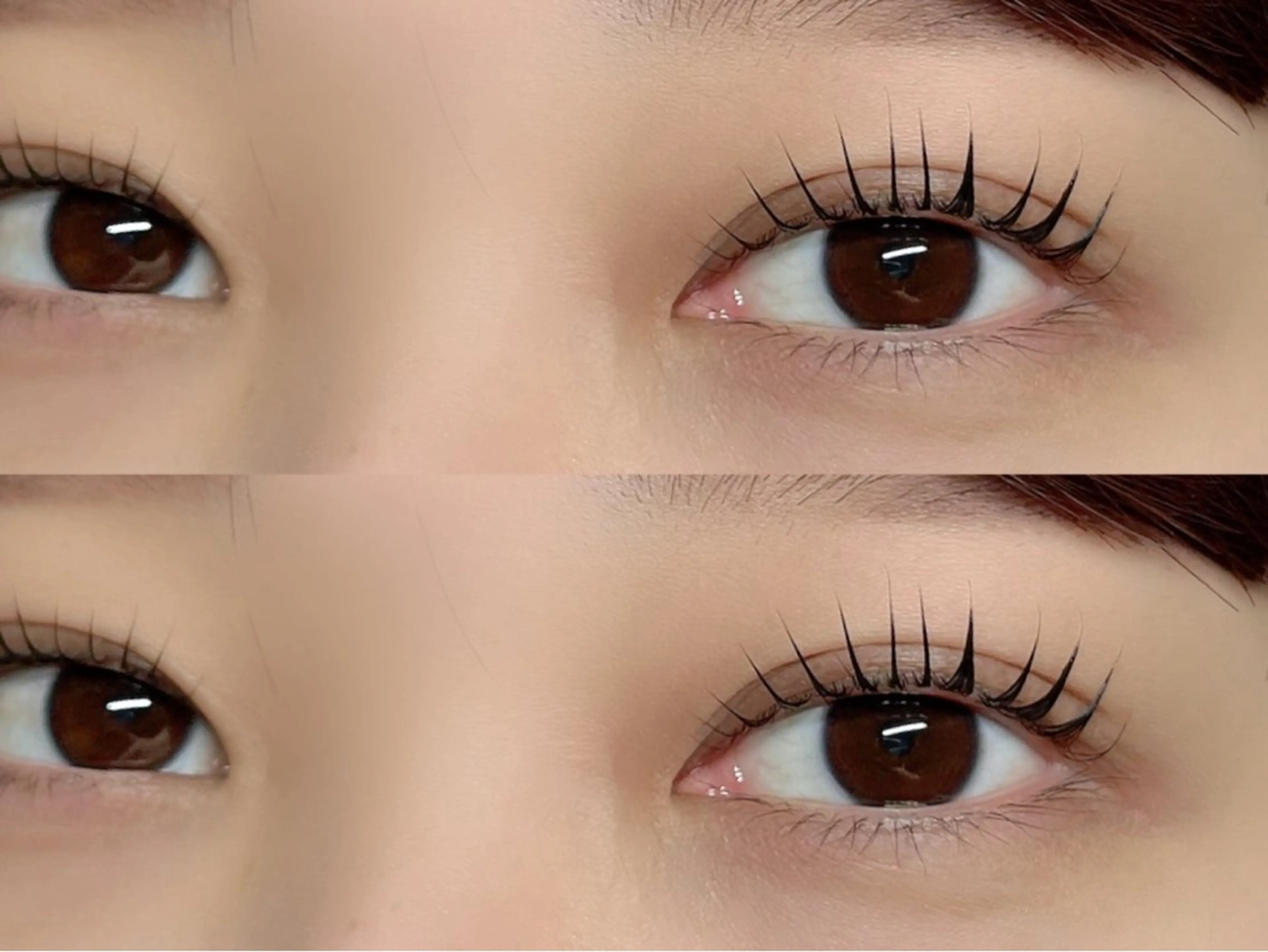 マツエク・マツパ マツパ Lupines 🌼Ruri🌼のマツエク・マツパデザイン