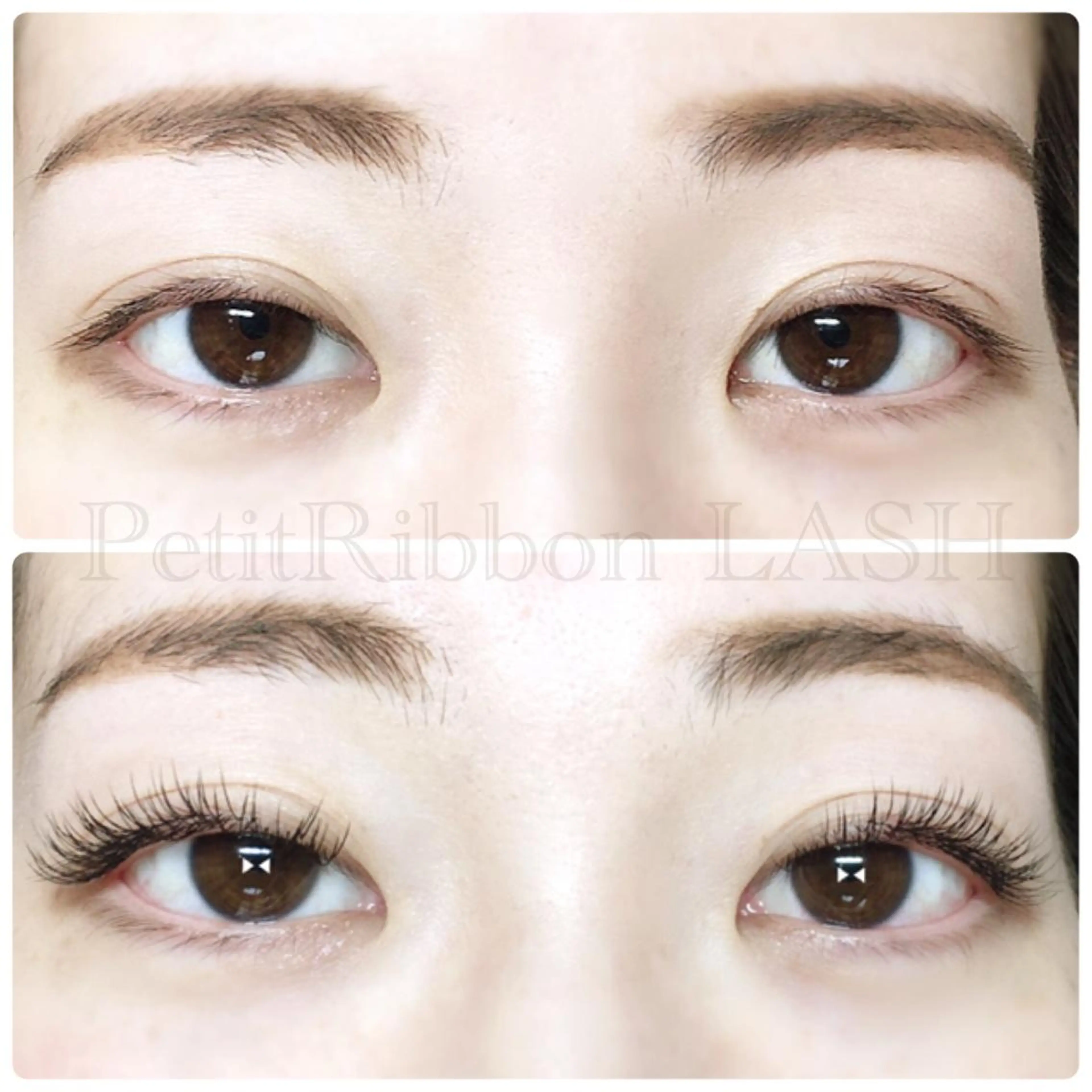 ❤(オフなし)高級セーブル120本の写真