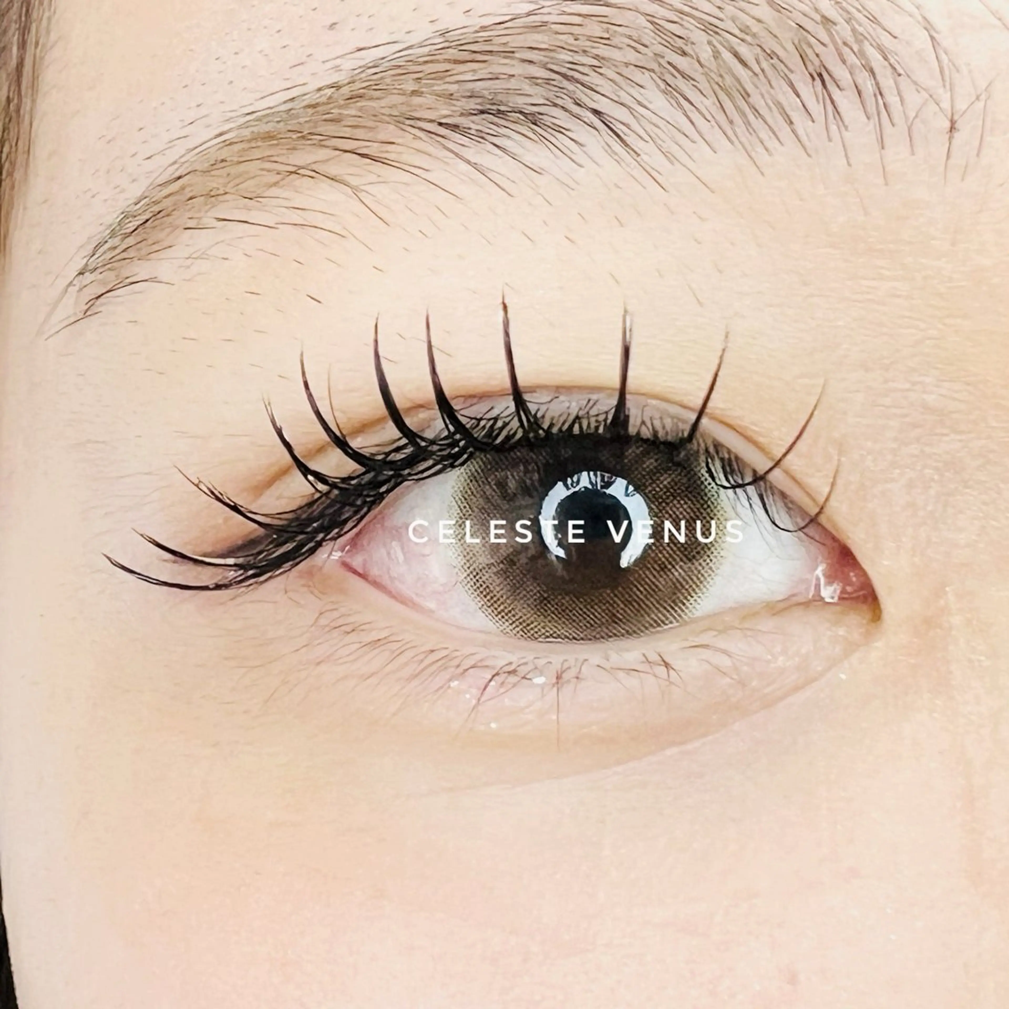 マツエク・マツパ Celeste Venus所属・🧸Celeste Venusのマツエク・マツパデザイン