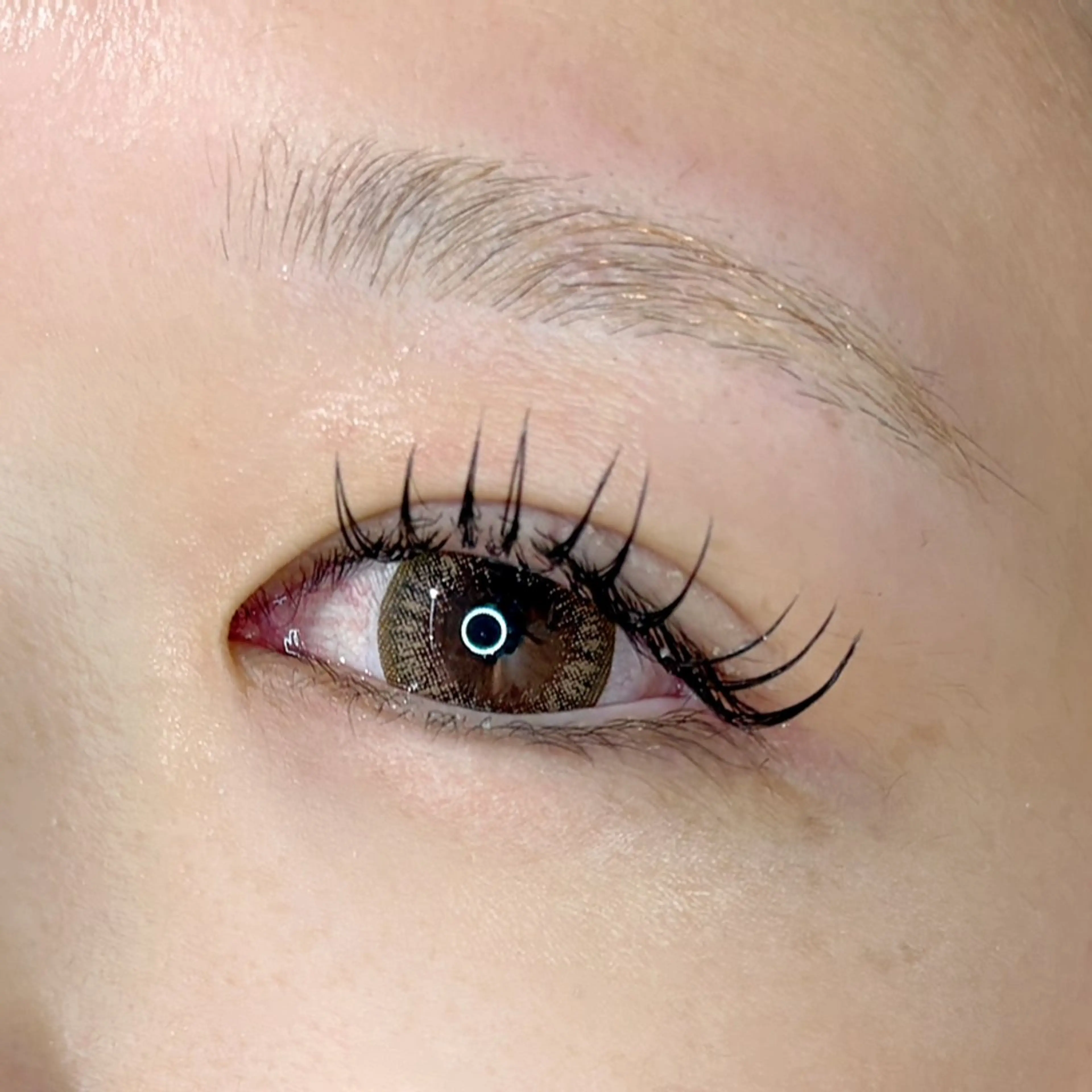 マツエク・マツパ マツエク Plaisir イズミカワの眉毛・アイブロウイメージ