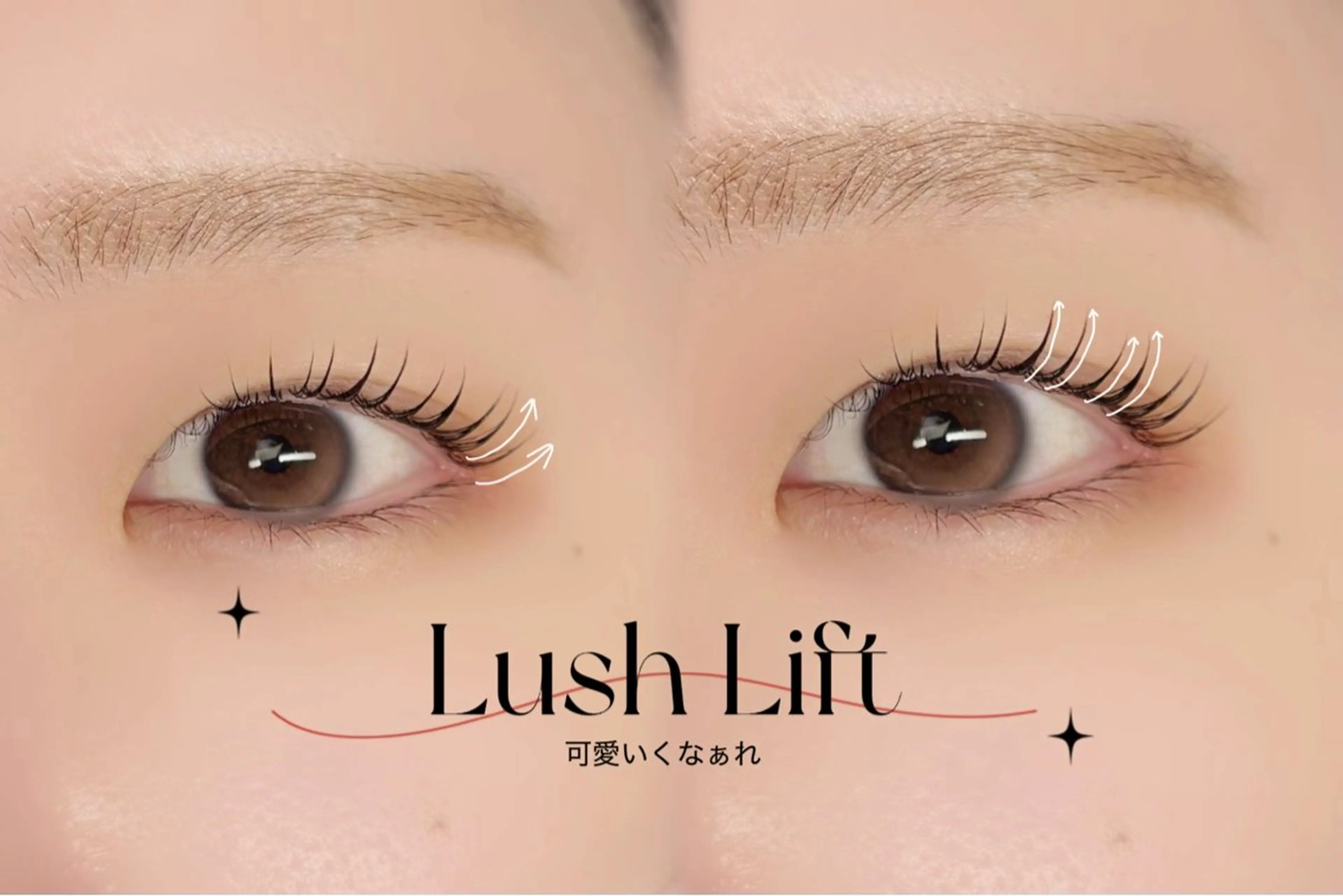 マツエク・マツパ マツパ 《目元分析》 似合うまつ毛提案の眉毛・アイブロウイメージ