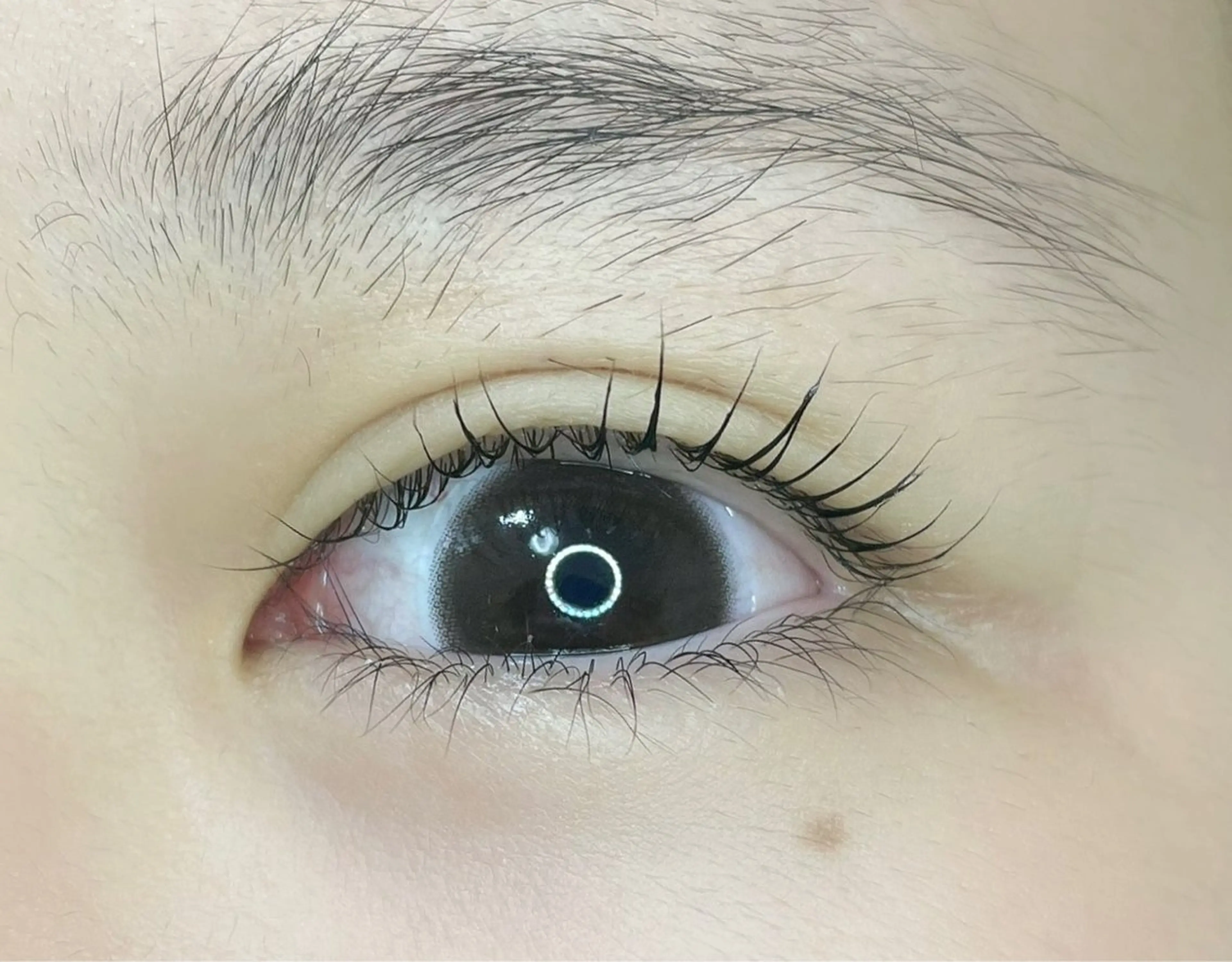 マツエク・マツパ milinoah 🧸Aiko🧸のマツエク・マツパデザイン