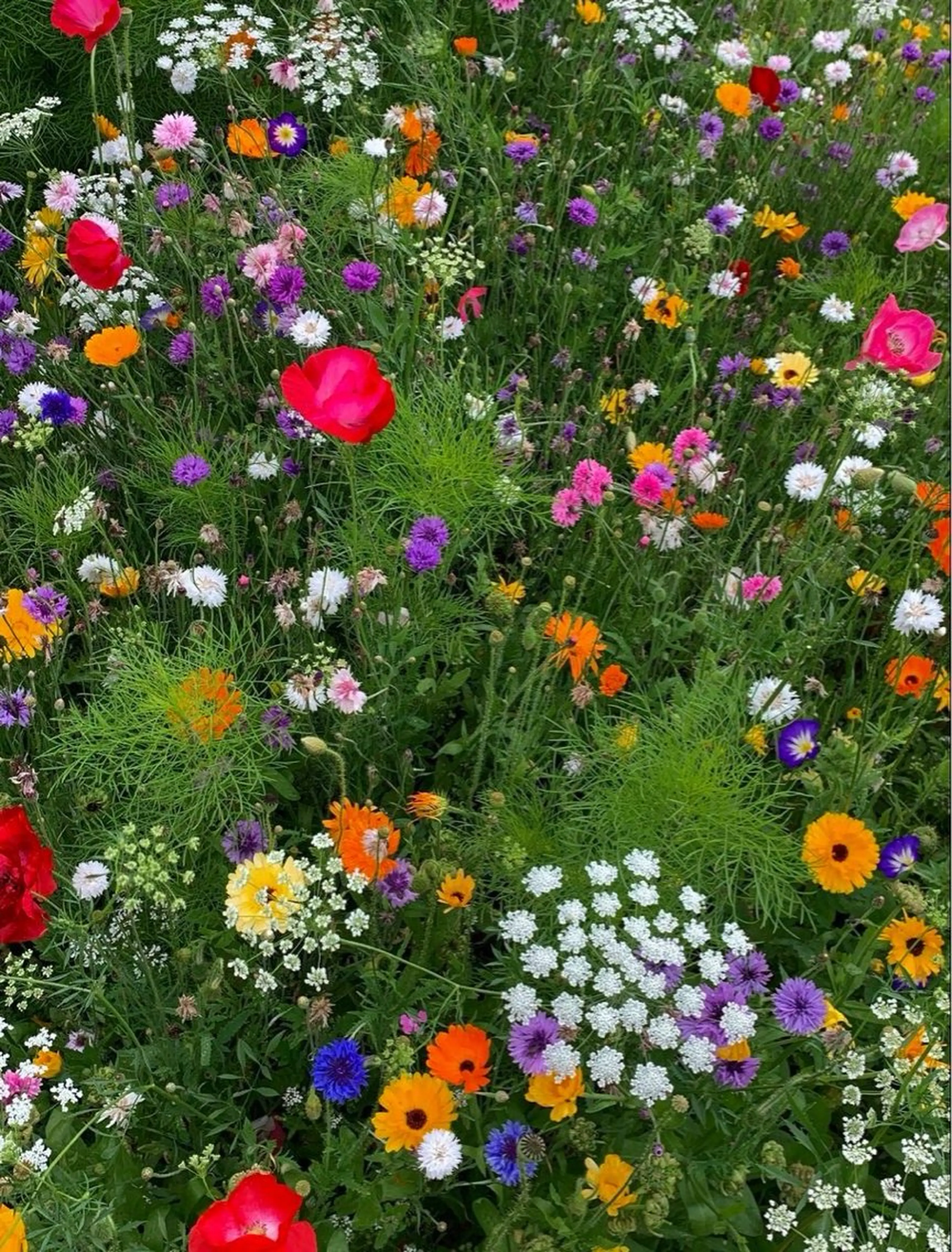 オト/レイヤー/ Wカラー/メンズのヘアスタイル