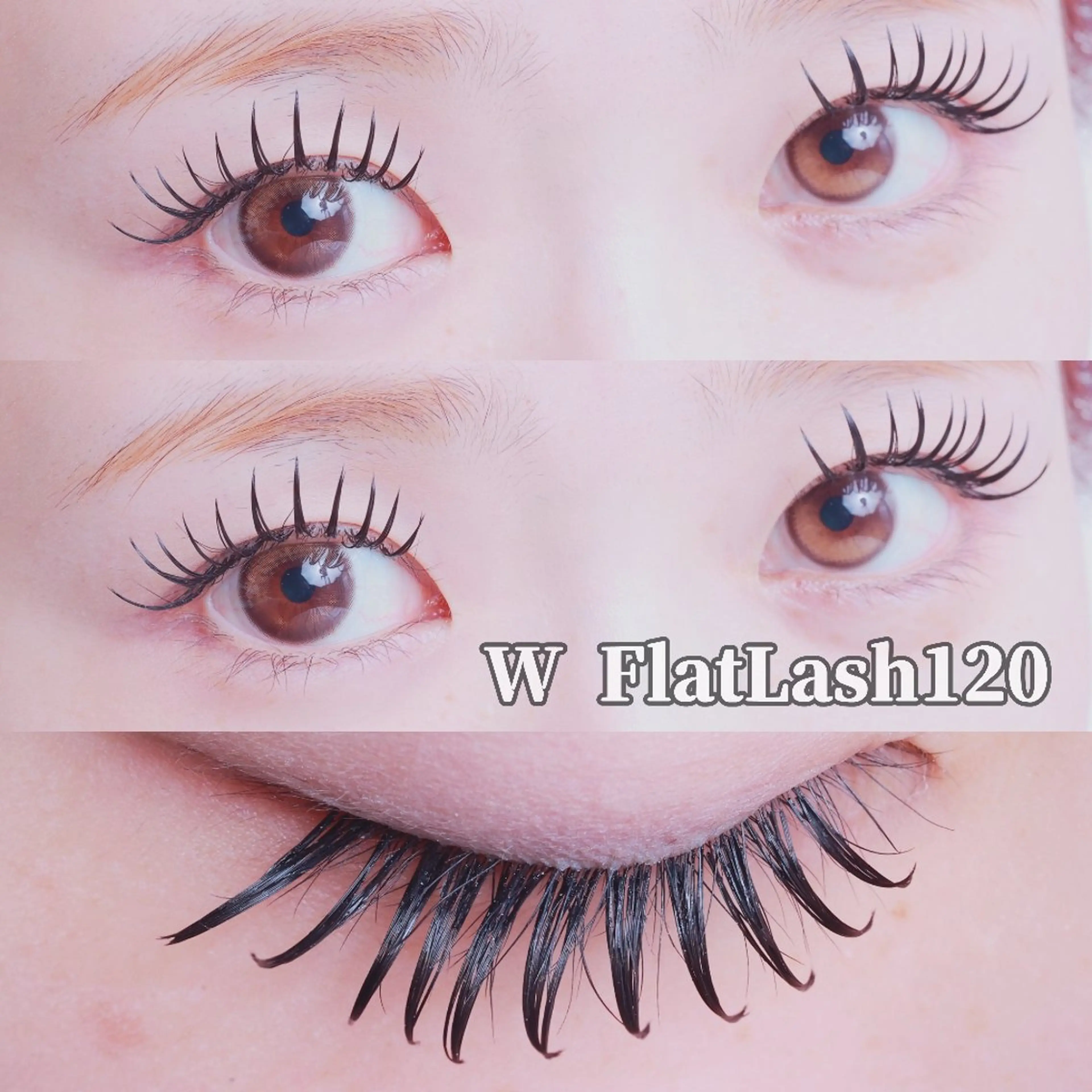 【ミニモ限定価格！口コミ投稿必須】ダブルフラットラッシュ 120束の写真