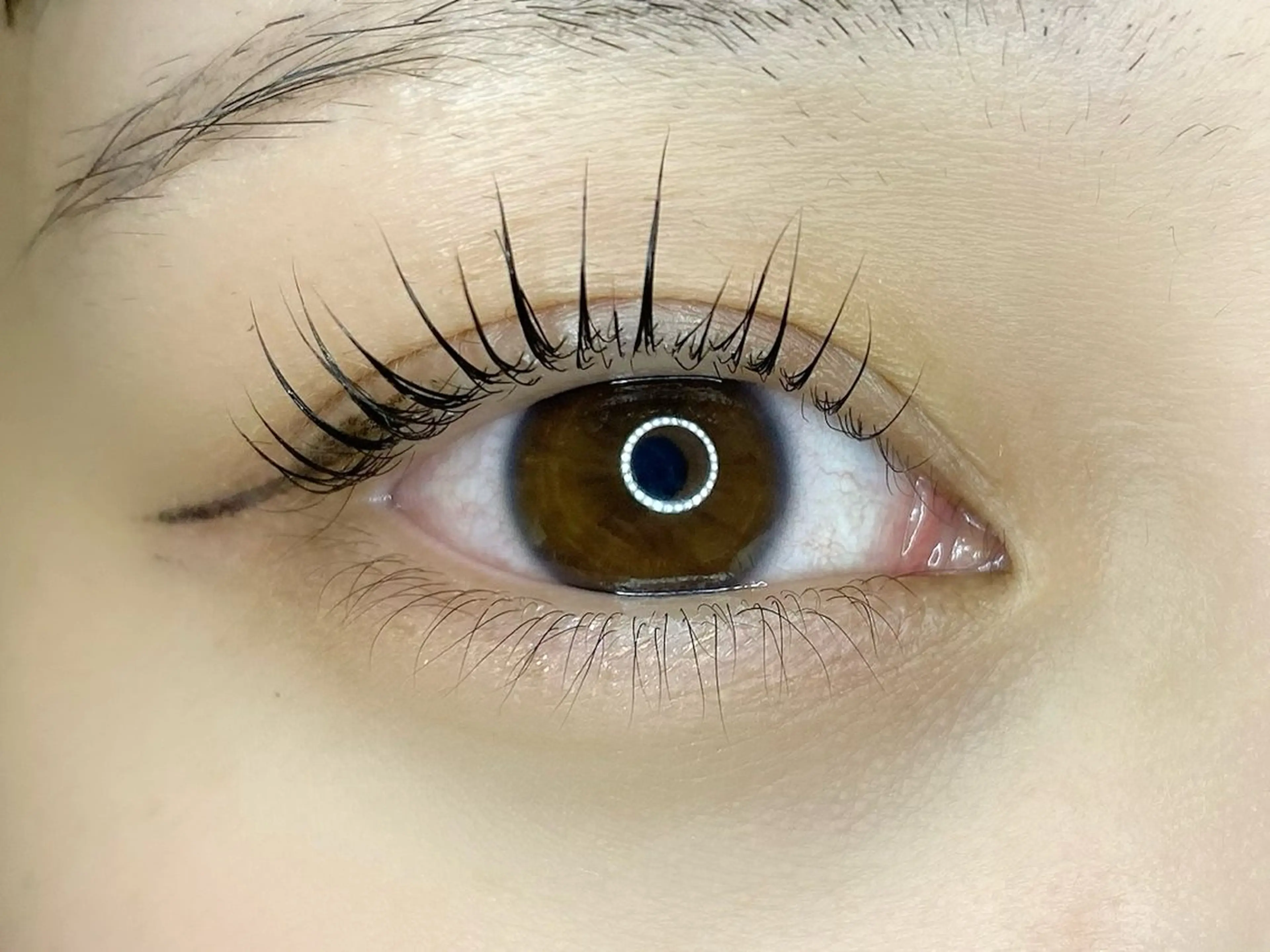 マツエク・マツパ マツパ Liure. mayoのマツエク・マツパデザイン