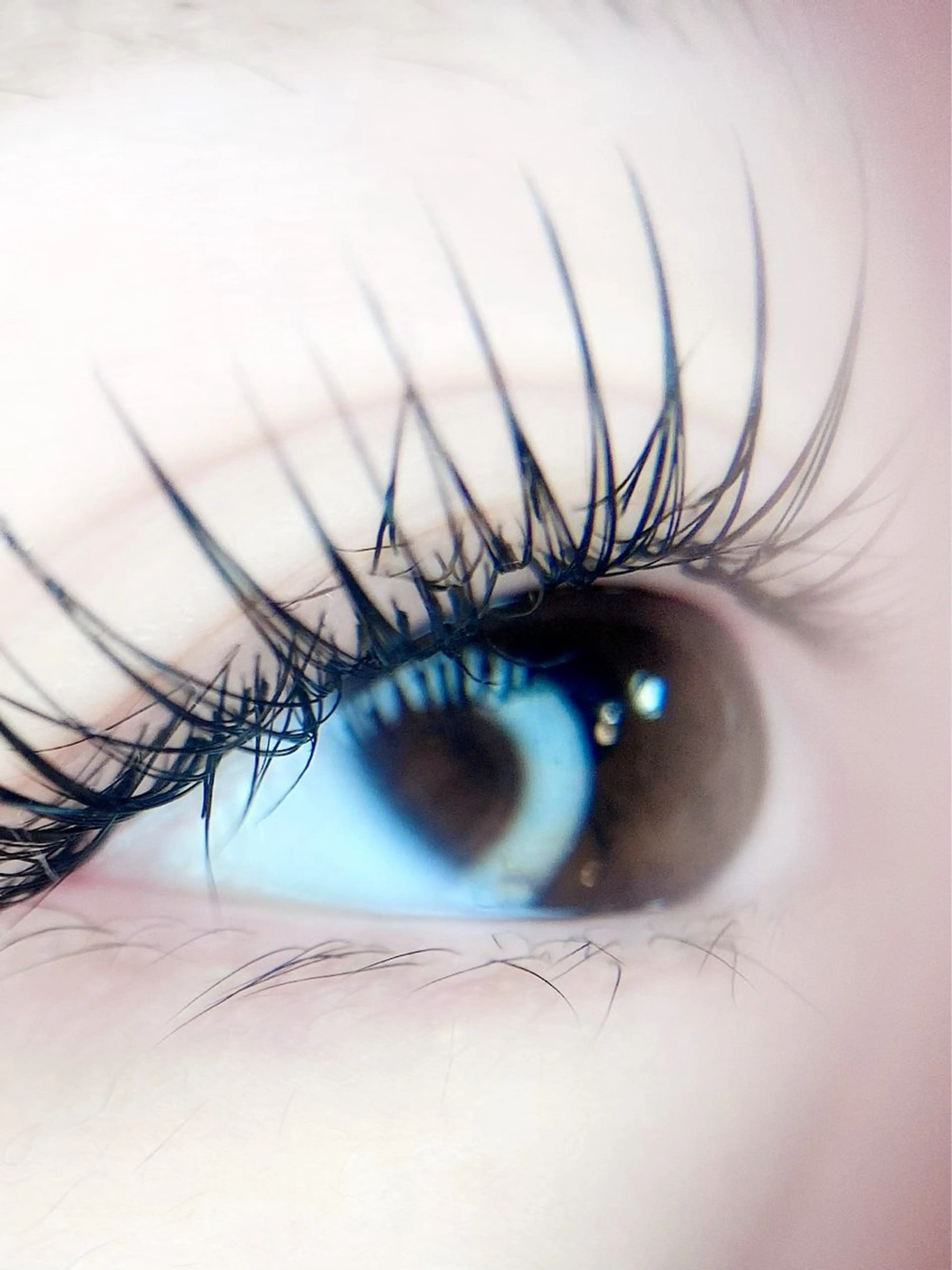 マツエク・マツパ マツエク Eye Labo Swipのマツエク・マツパデザイン