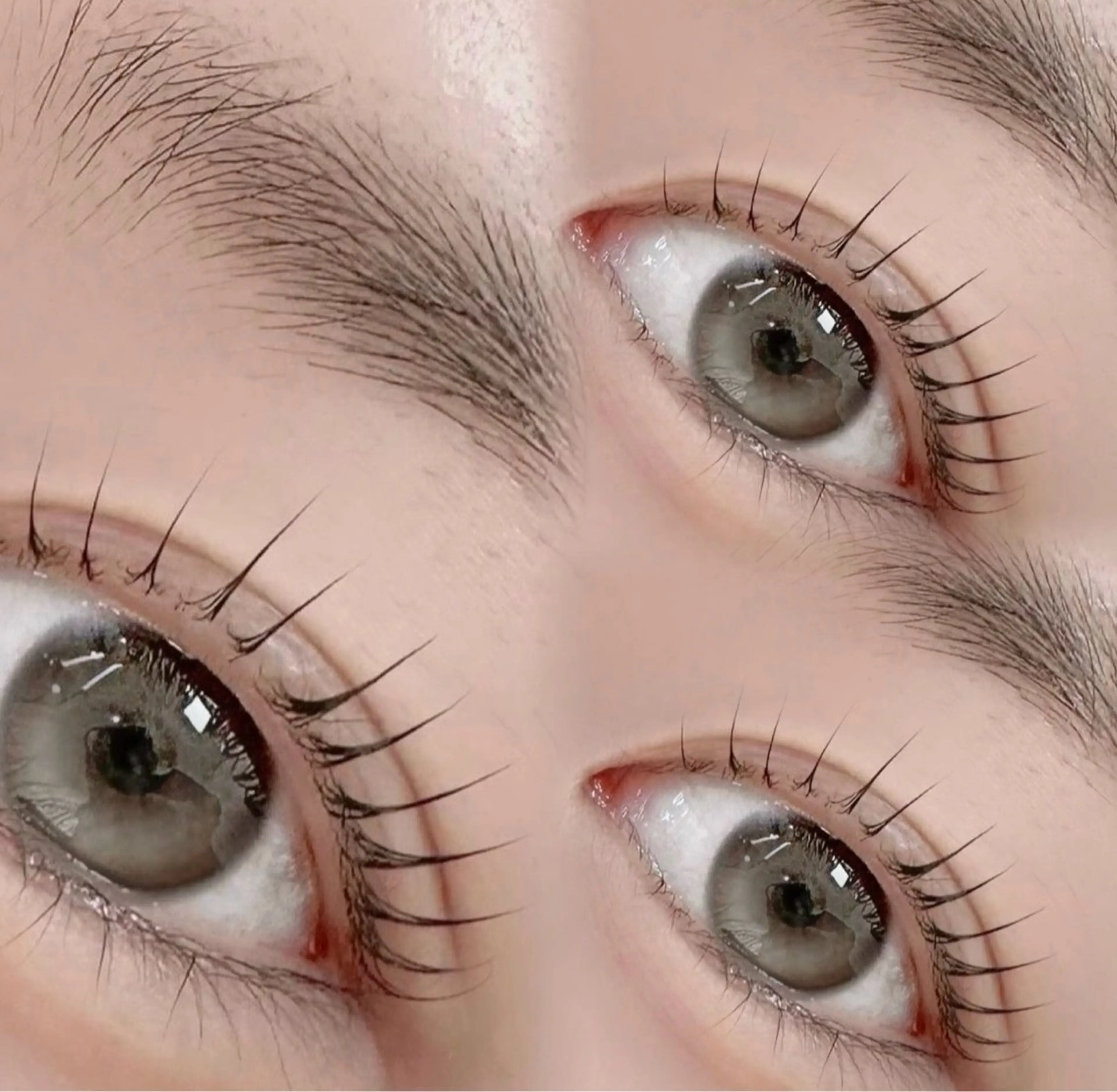 【人気No.1👑】韓国束感まつげパーマ🇰🇷｜似合わせの写真