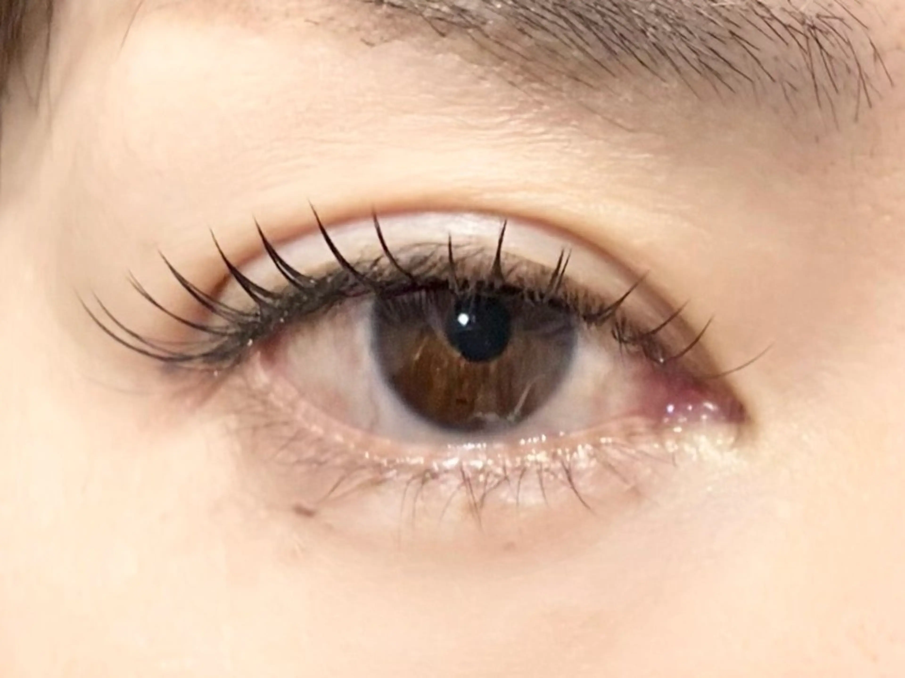 マツエク・マツパ フラットラッシュ 目尻長め マツエク 中村彩香 (エフドゥ)のマツエク・マツパデザイン