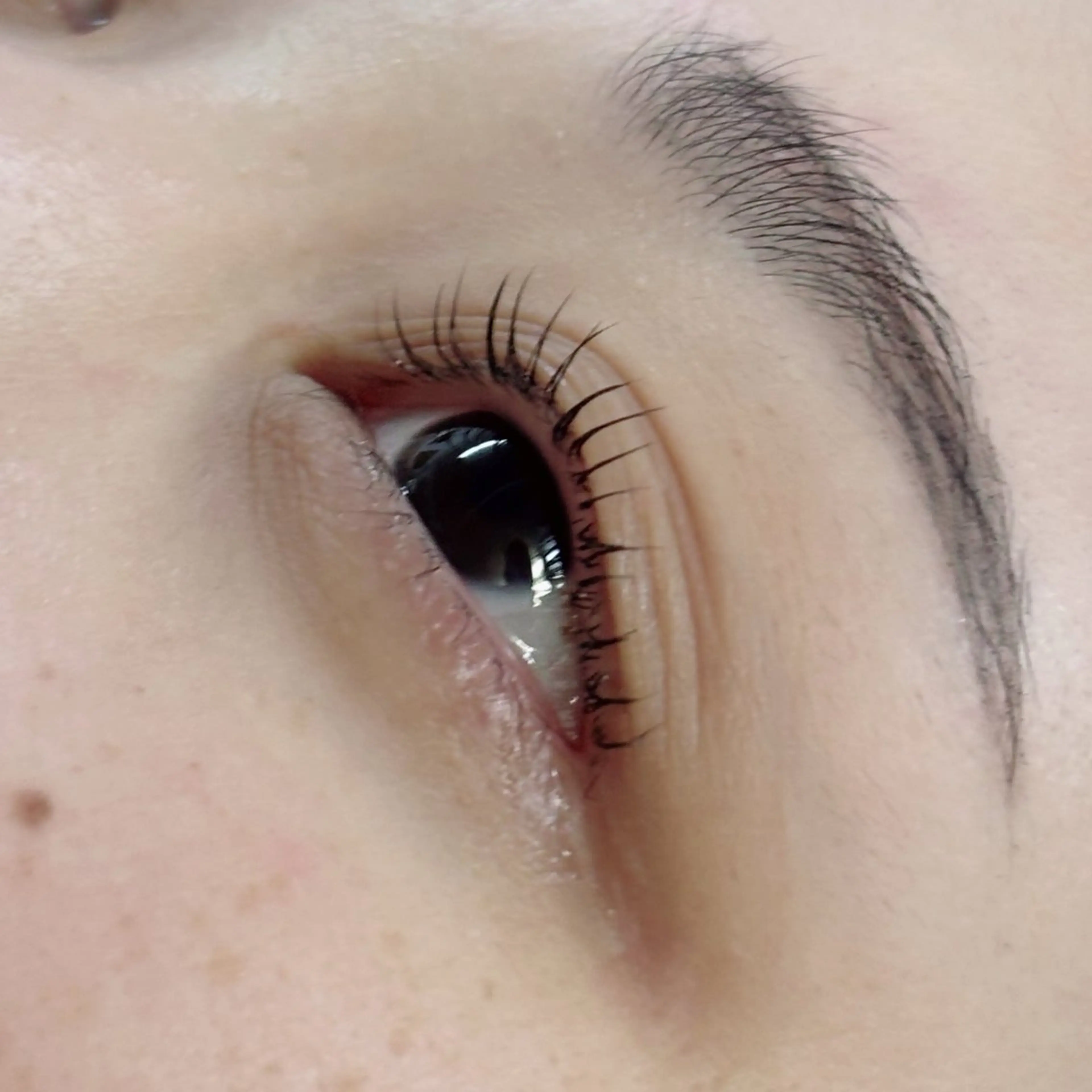 マツエク・マツパ 彩楓 /EYELA🪄ྀིのマツエク・マツパデザイン