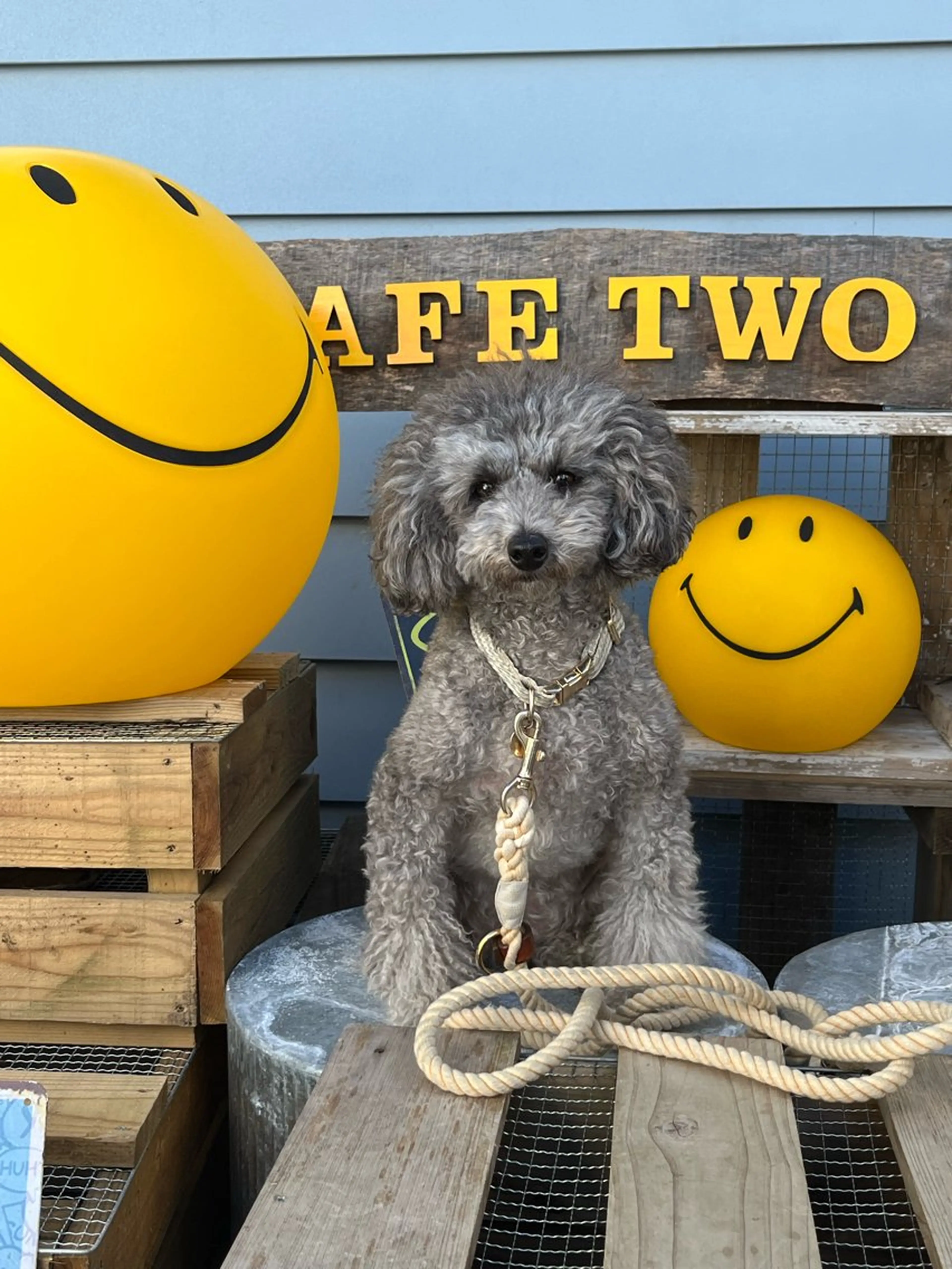 Lélia nailのネイルデザイン