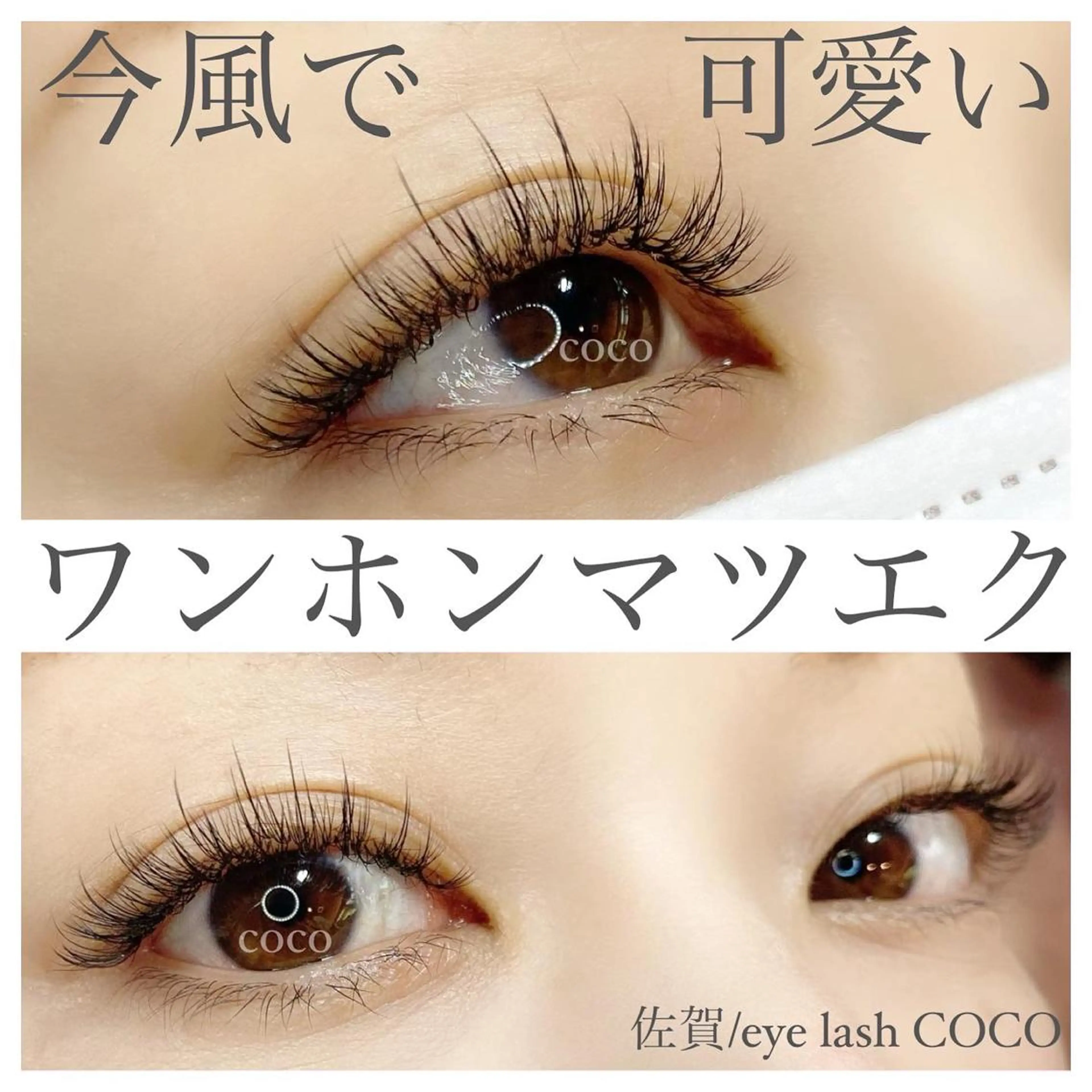 マツエク・マツパ ボリュームラッシュ ワンホンマツエク eye lash COCOのマツエク・マツパデザイン
