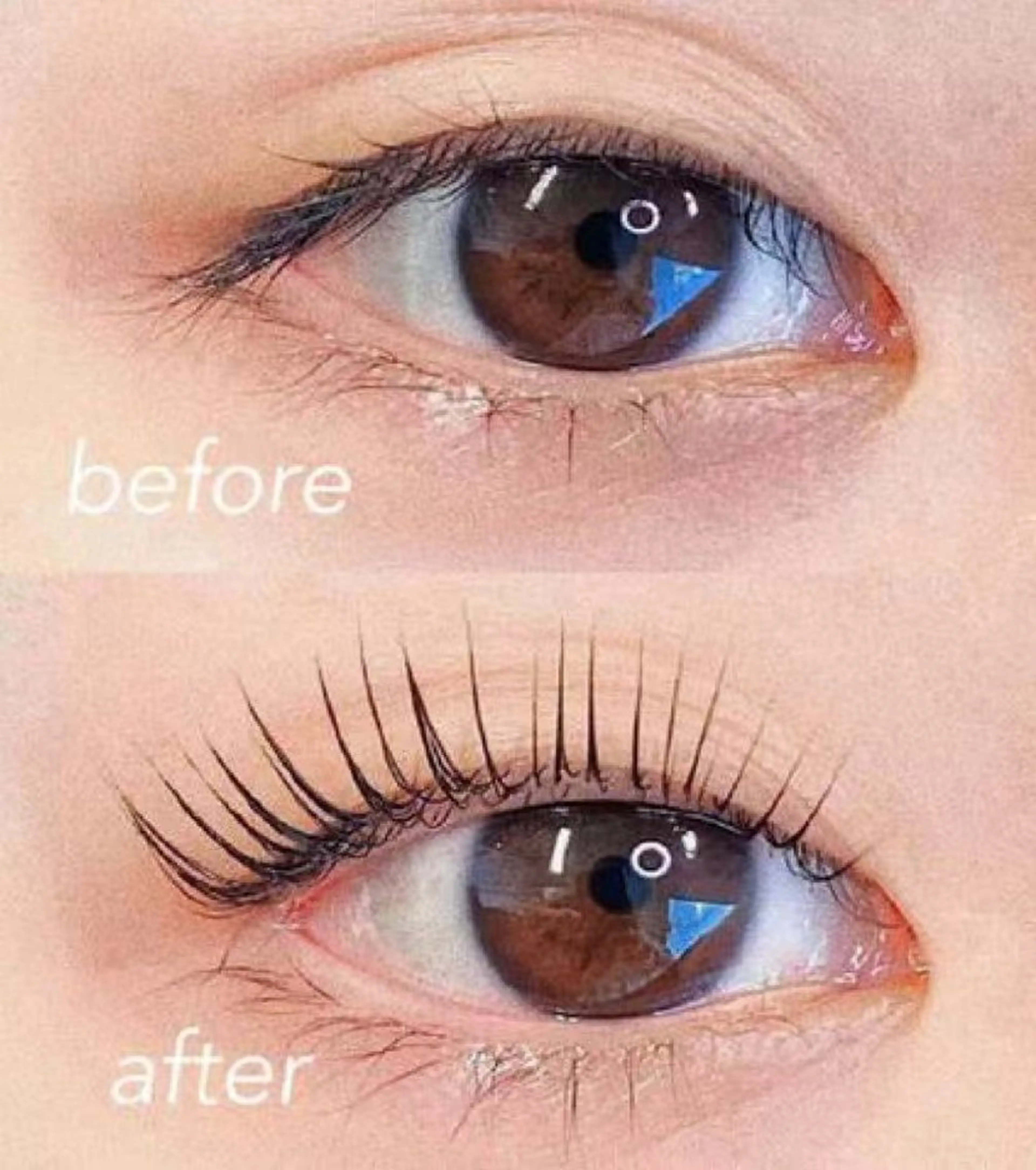 パリジェンヌラッシュリフト💫コーティング付き💞の写真