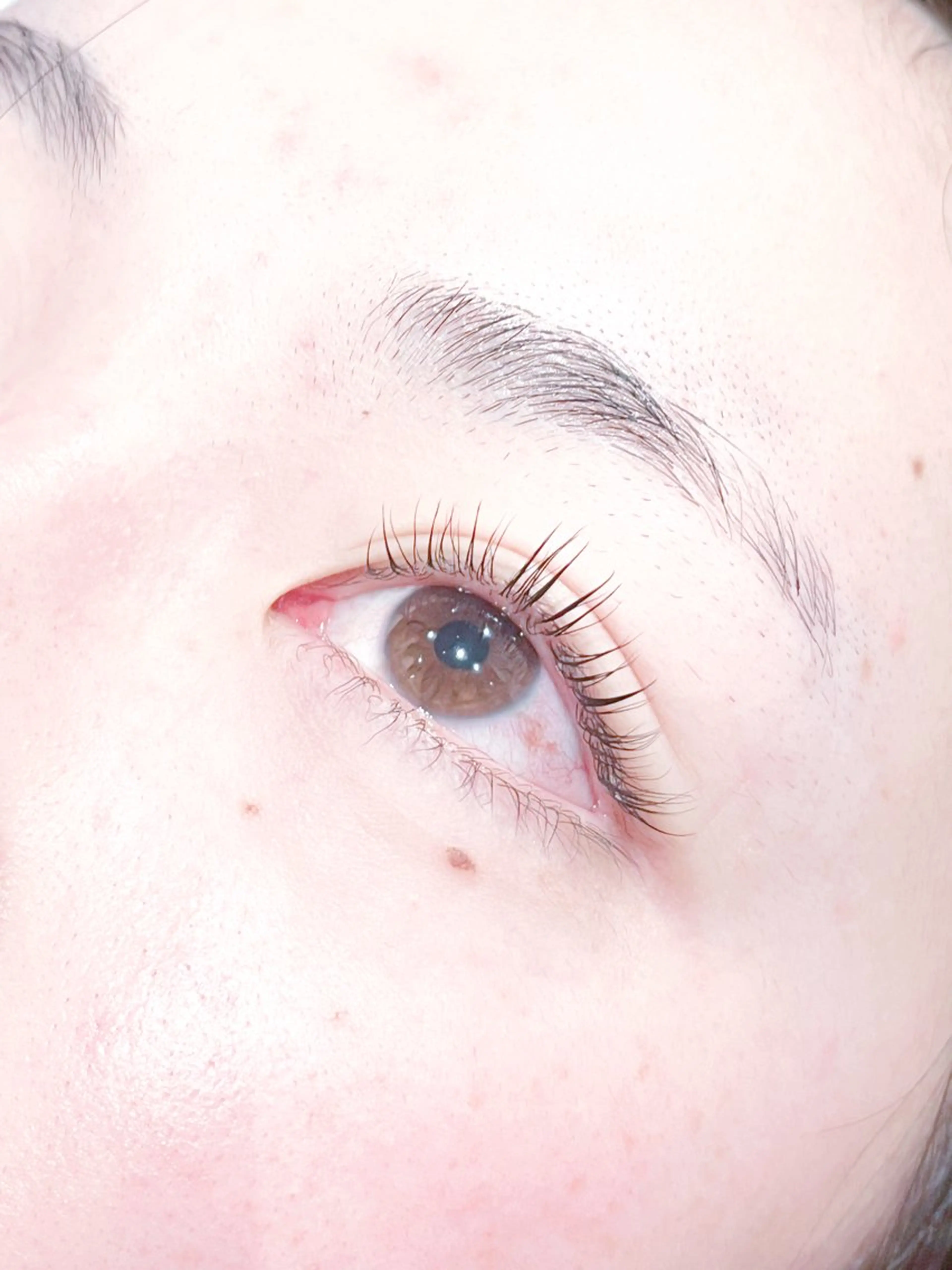 マツエク・マツパ まつげパーマ 下まつげエクステ Belle fee 福地のマツエク・マツパデザイン