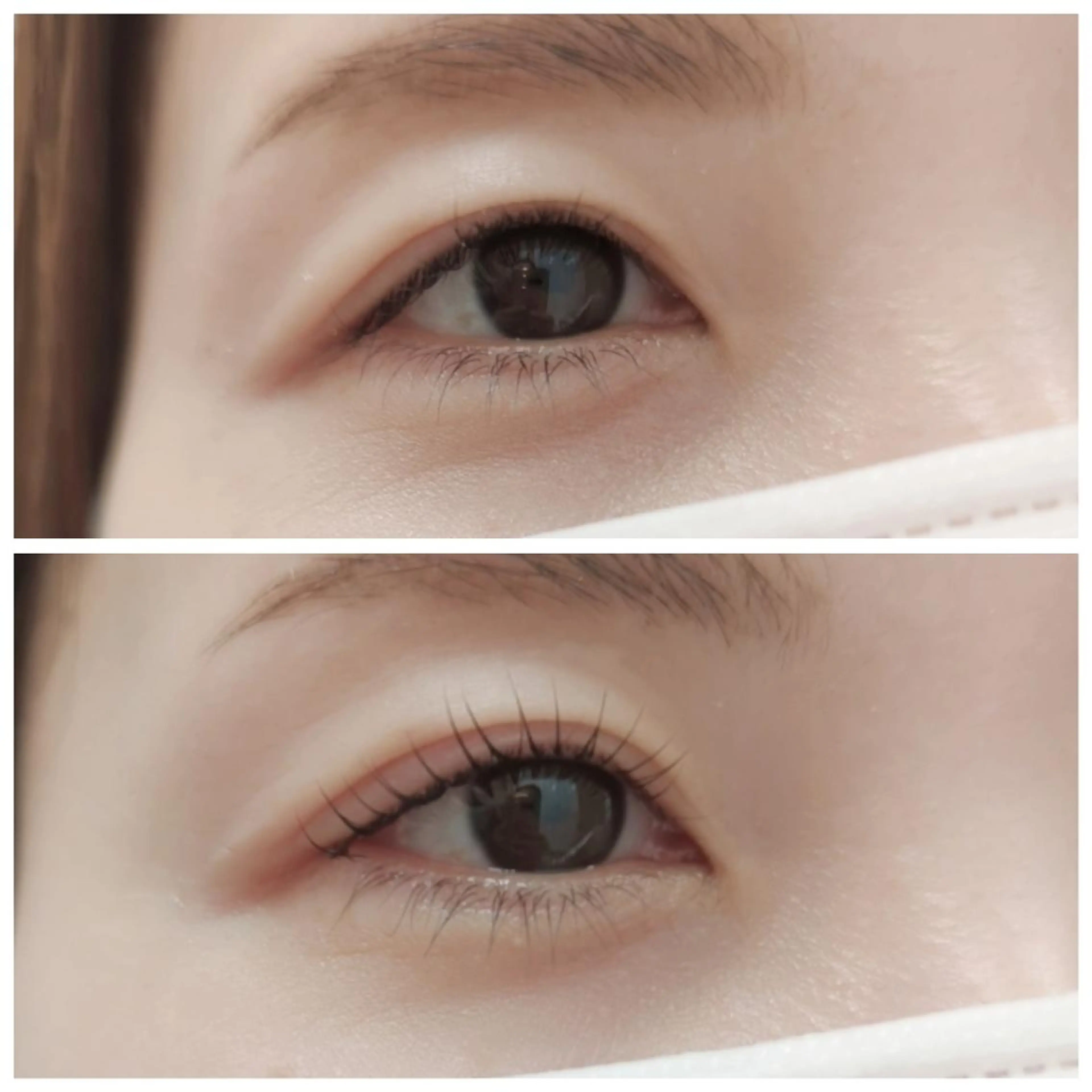 マツエク・マツパ taachi due yumiの眉毛・アイブロウイメージ