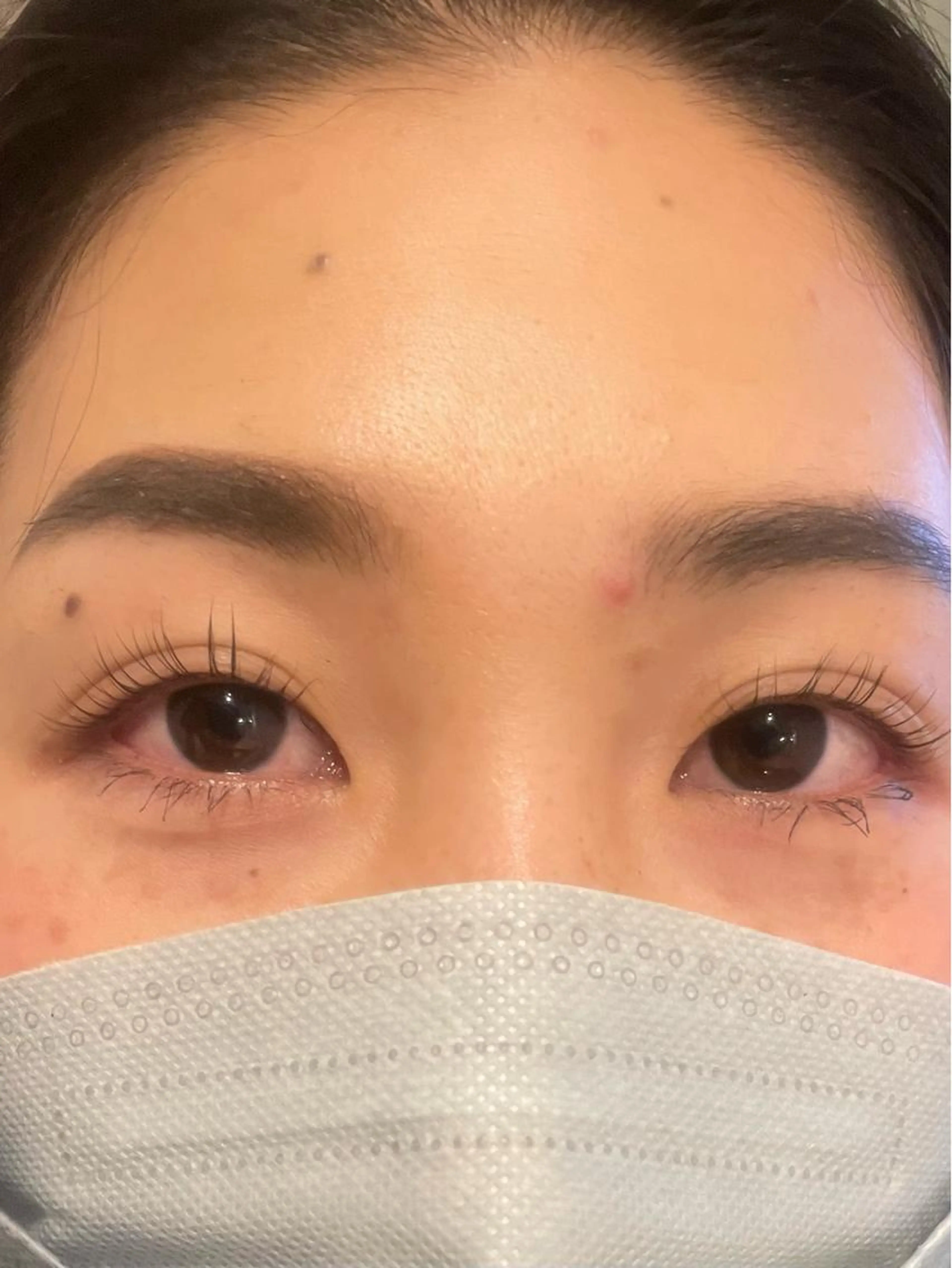 学割✨パリジェンヌラッシュリフト✨特別価格❗️の写真