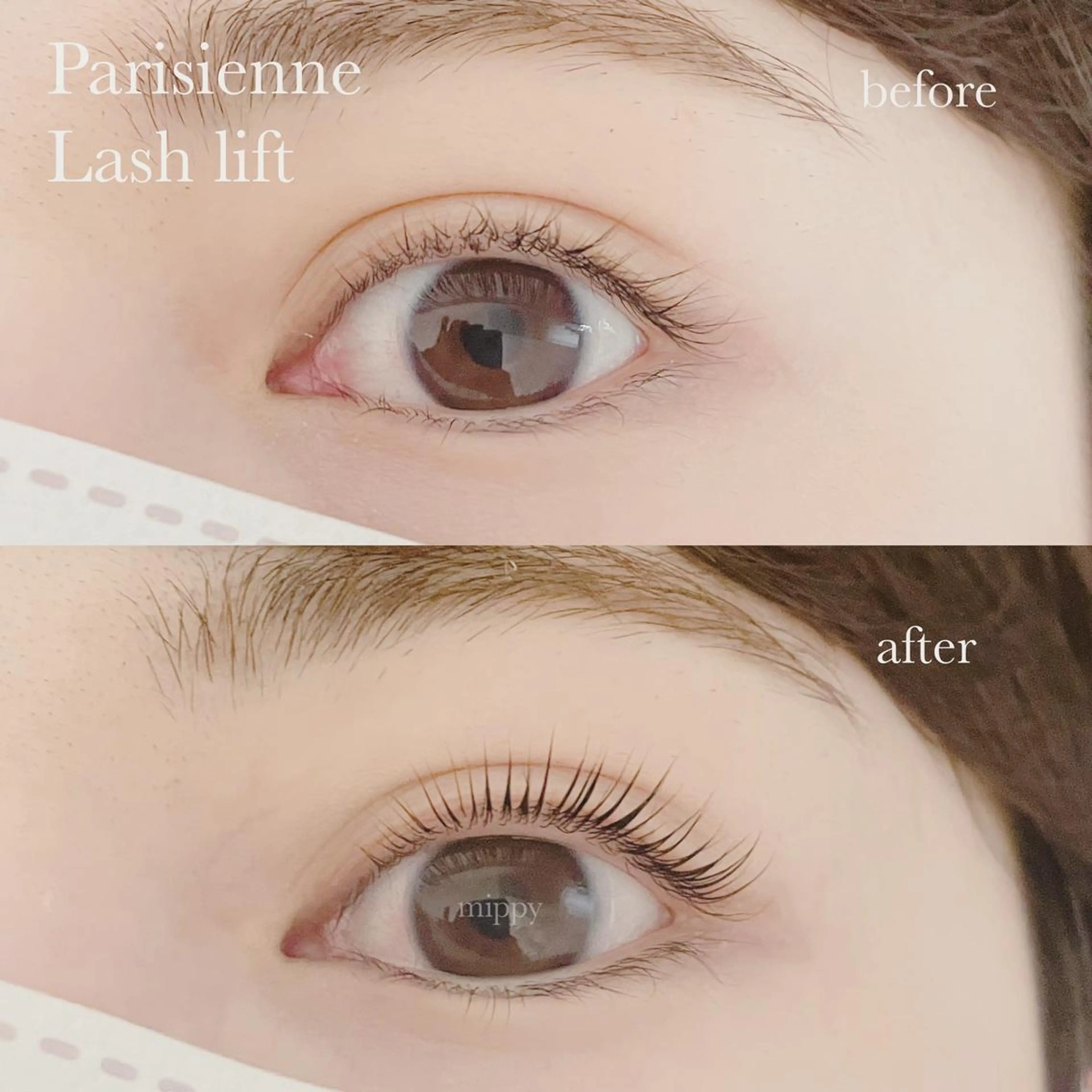 マツエク・マツパ ｍｉｐｐｙ 🪽のマツエク・マツパデザイン